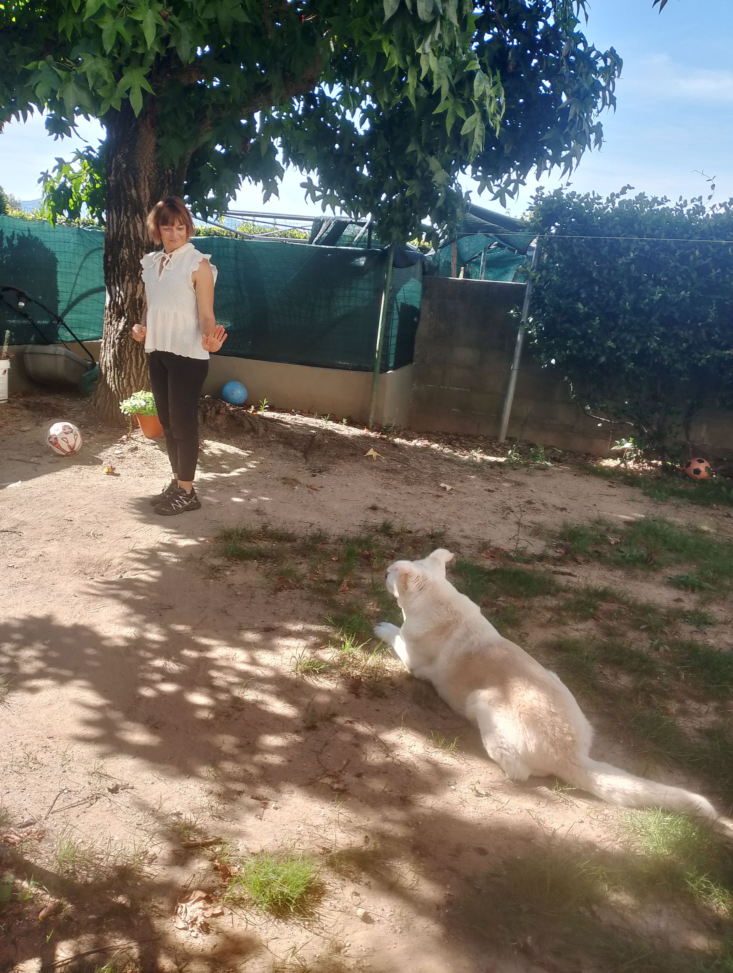 image-14