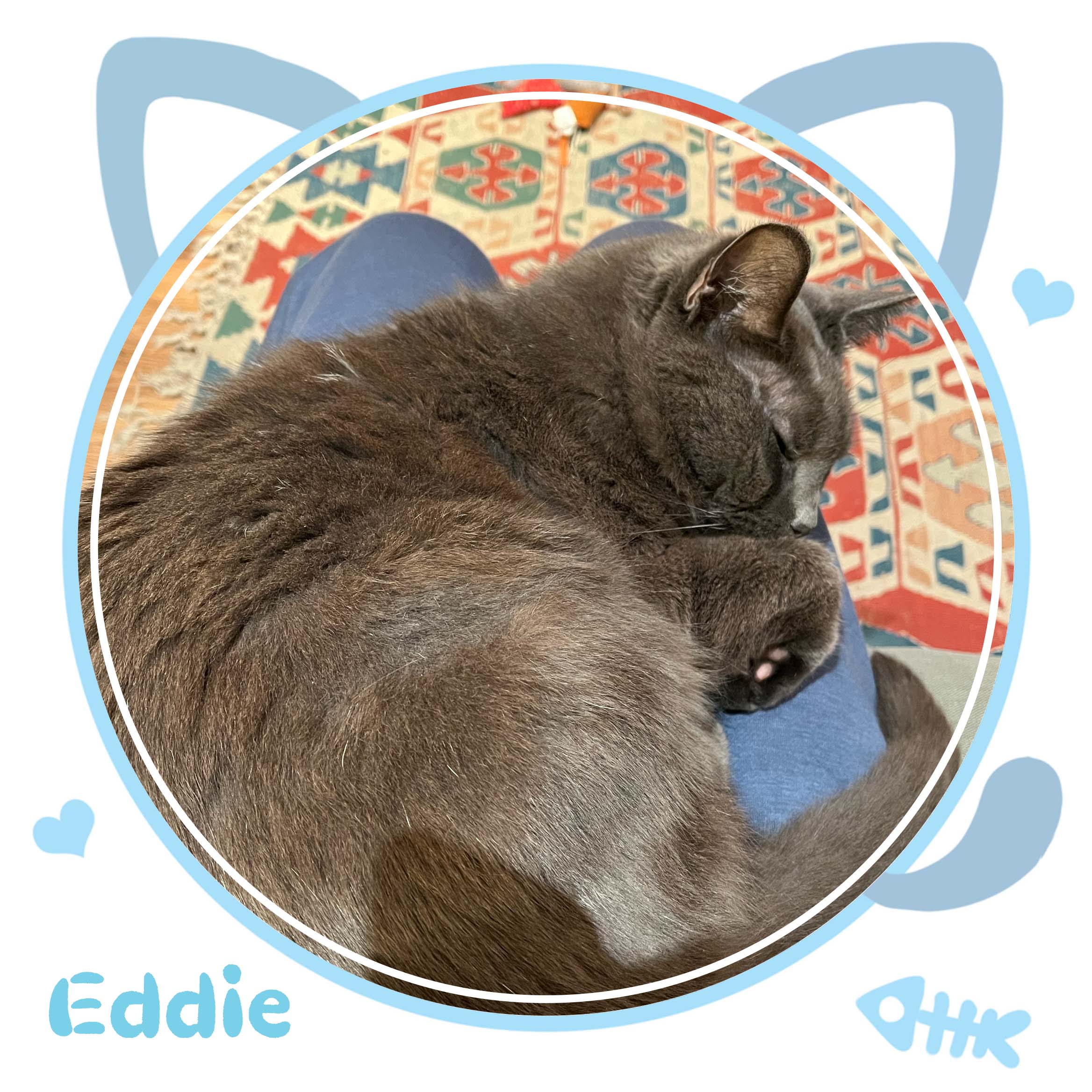 image-6