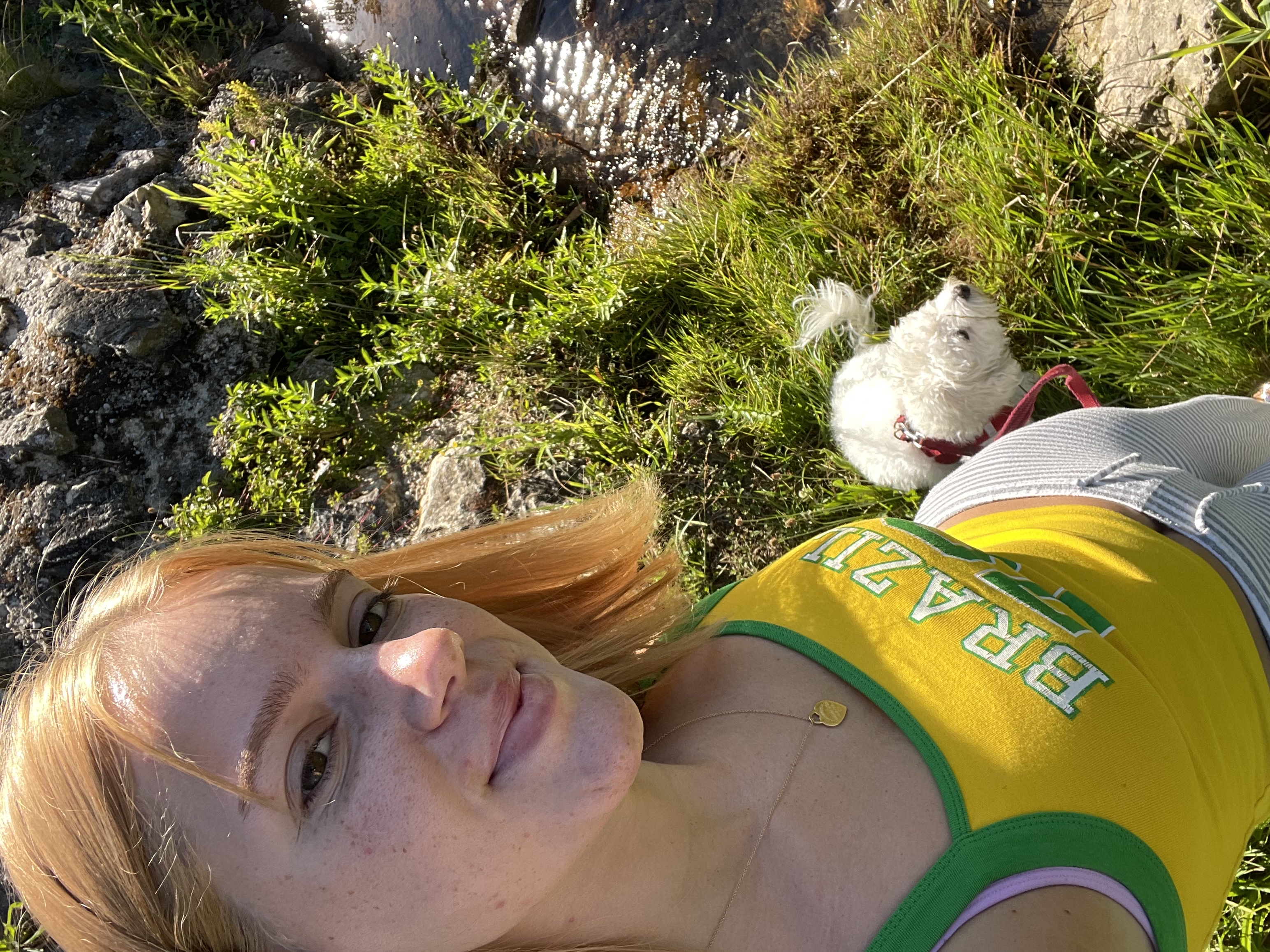 image-9