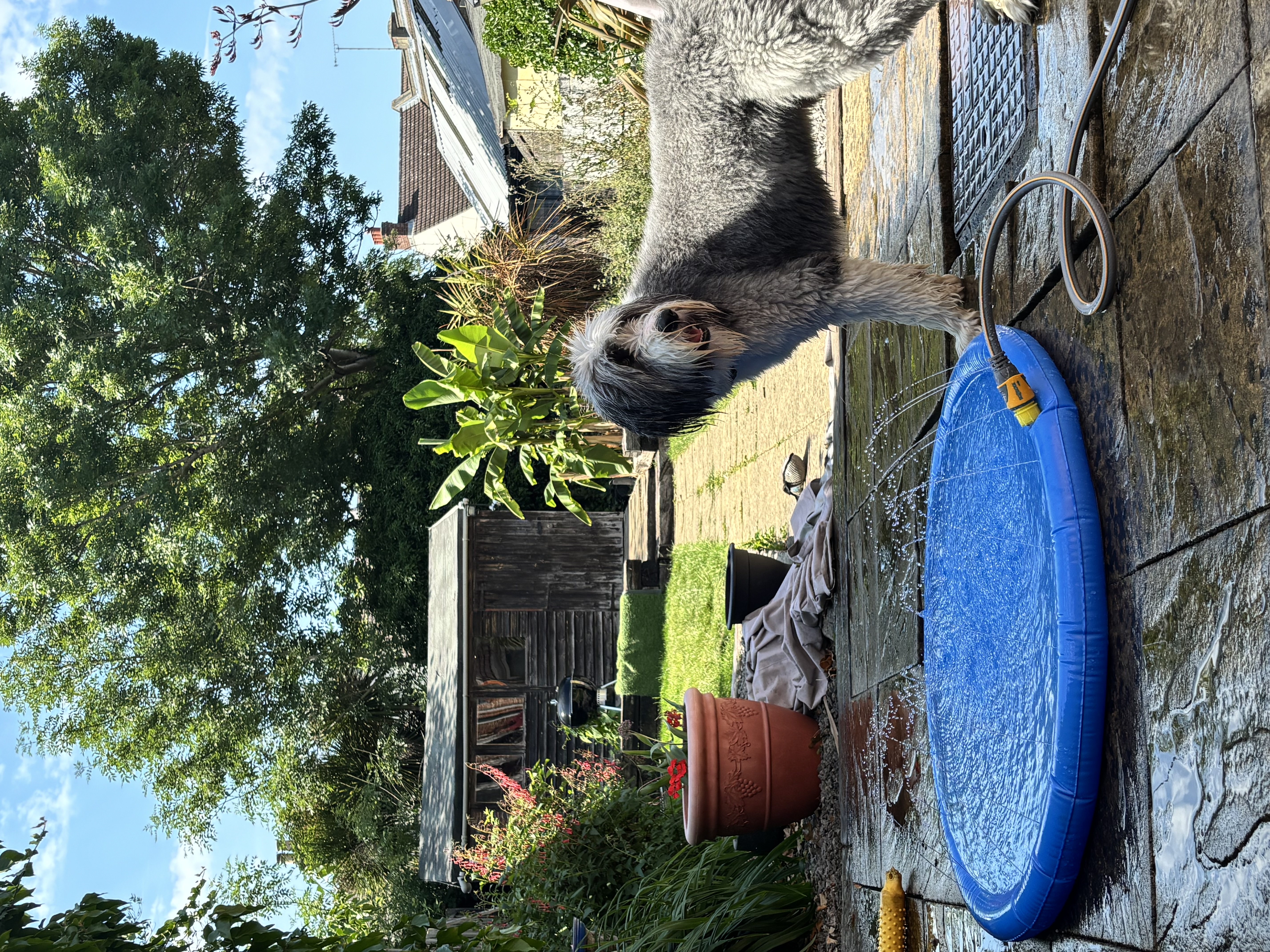 image-14