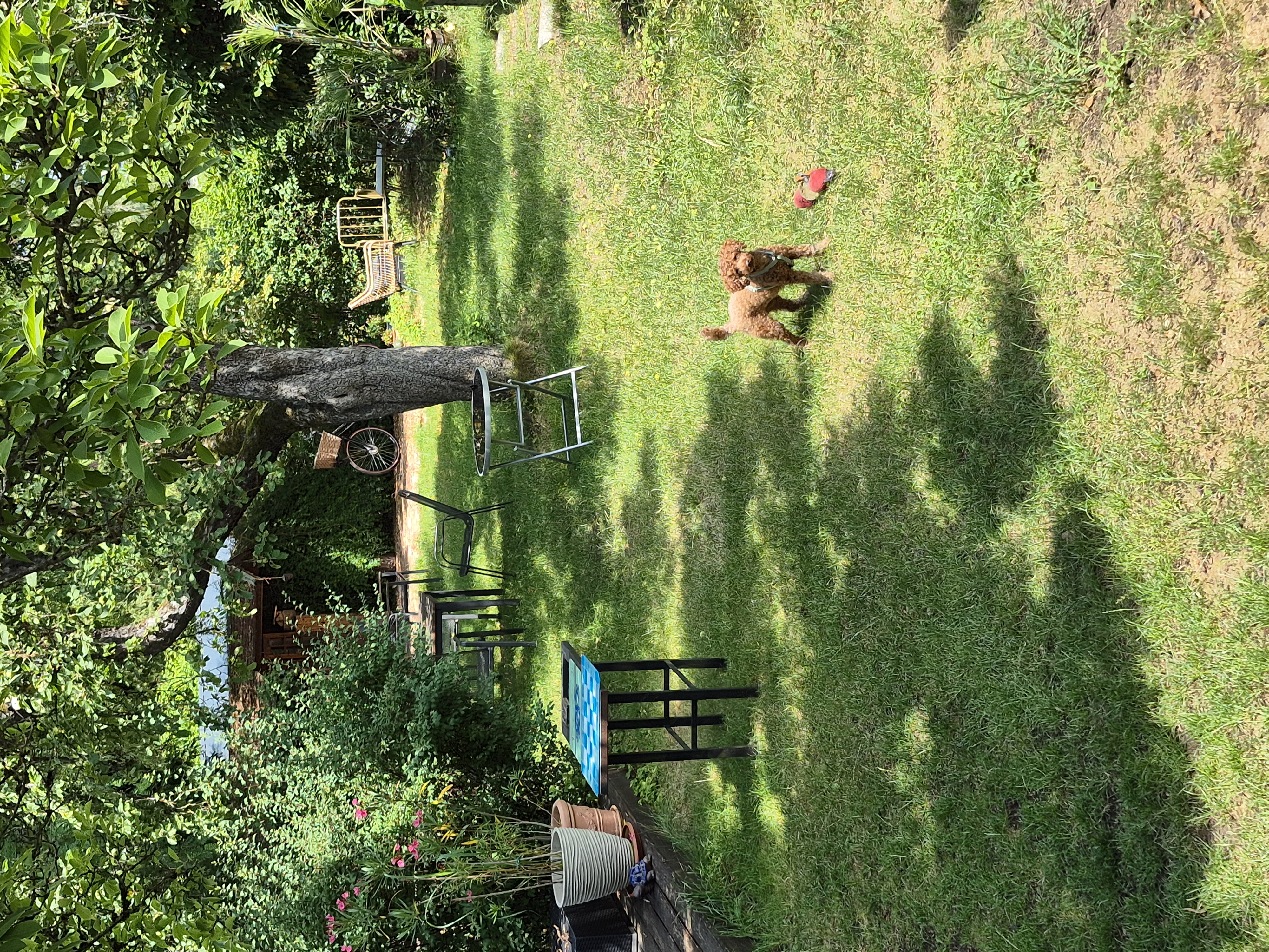 image-16