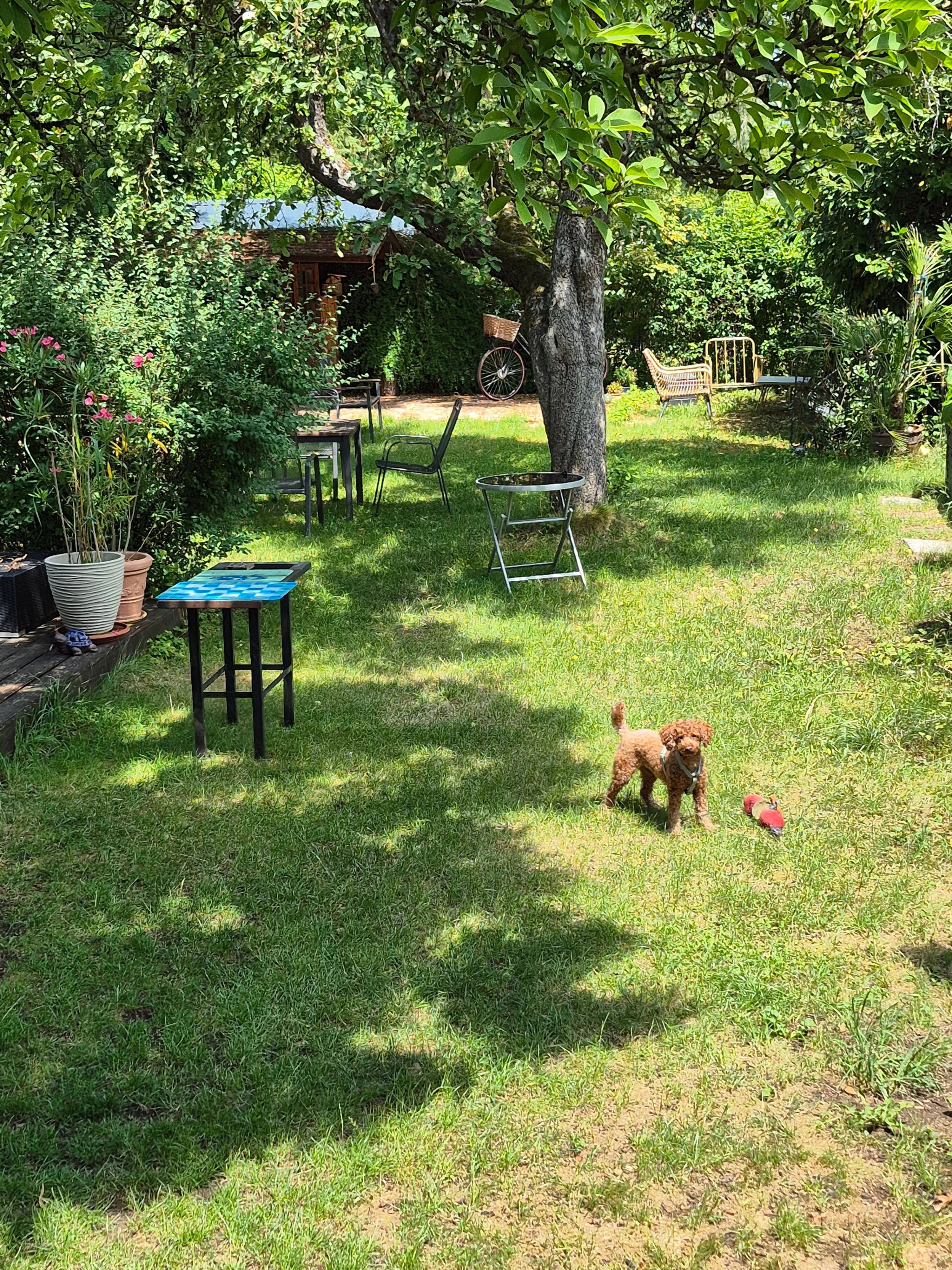 image-16