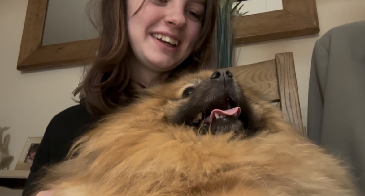 image-9