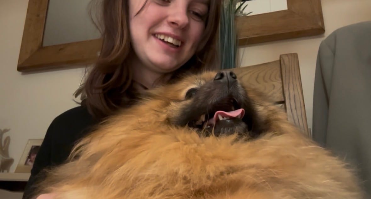 image-9