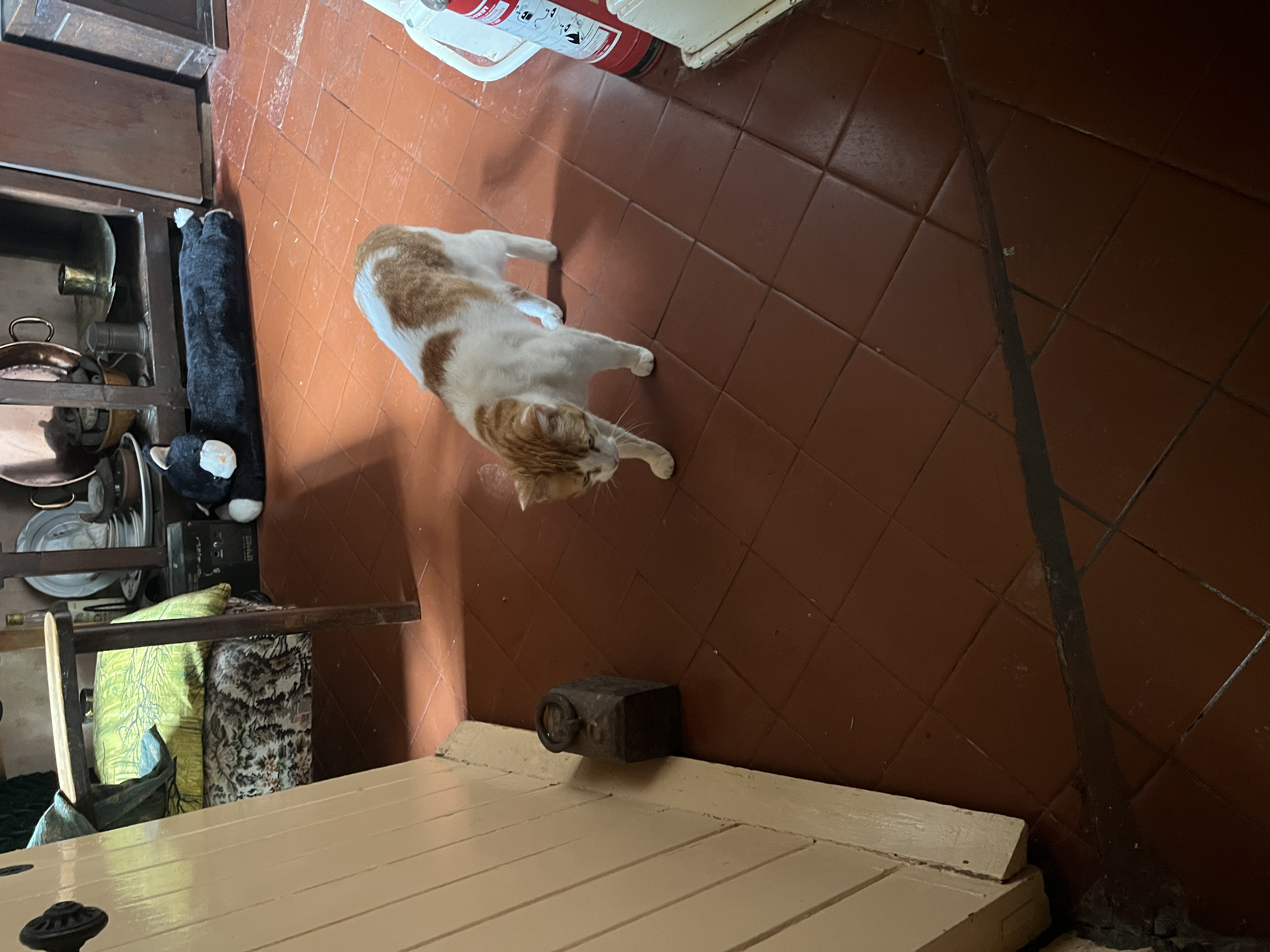 image-12