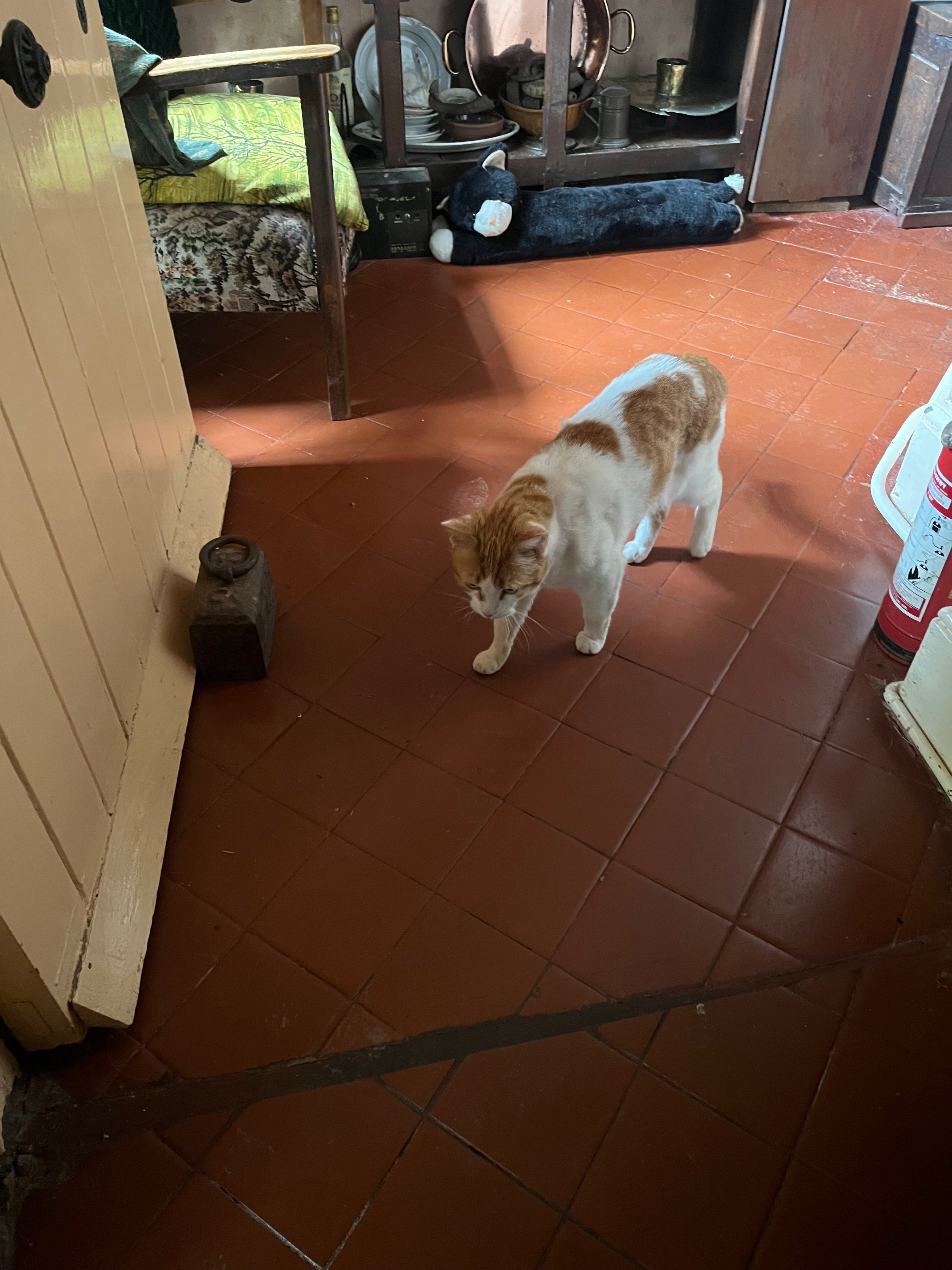 image-12
