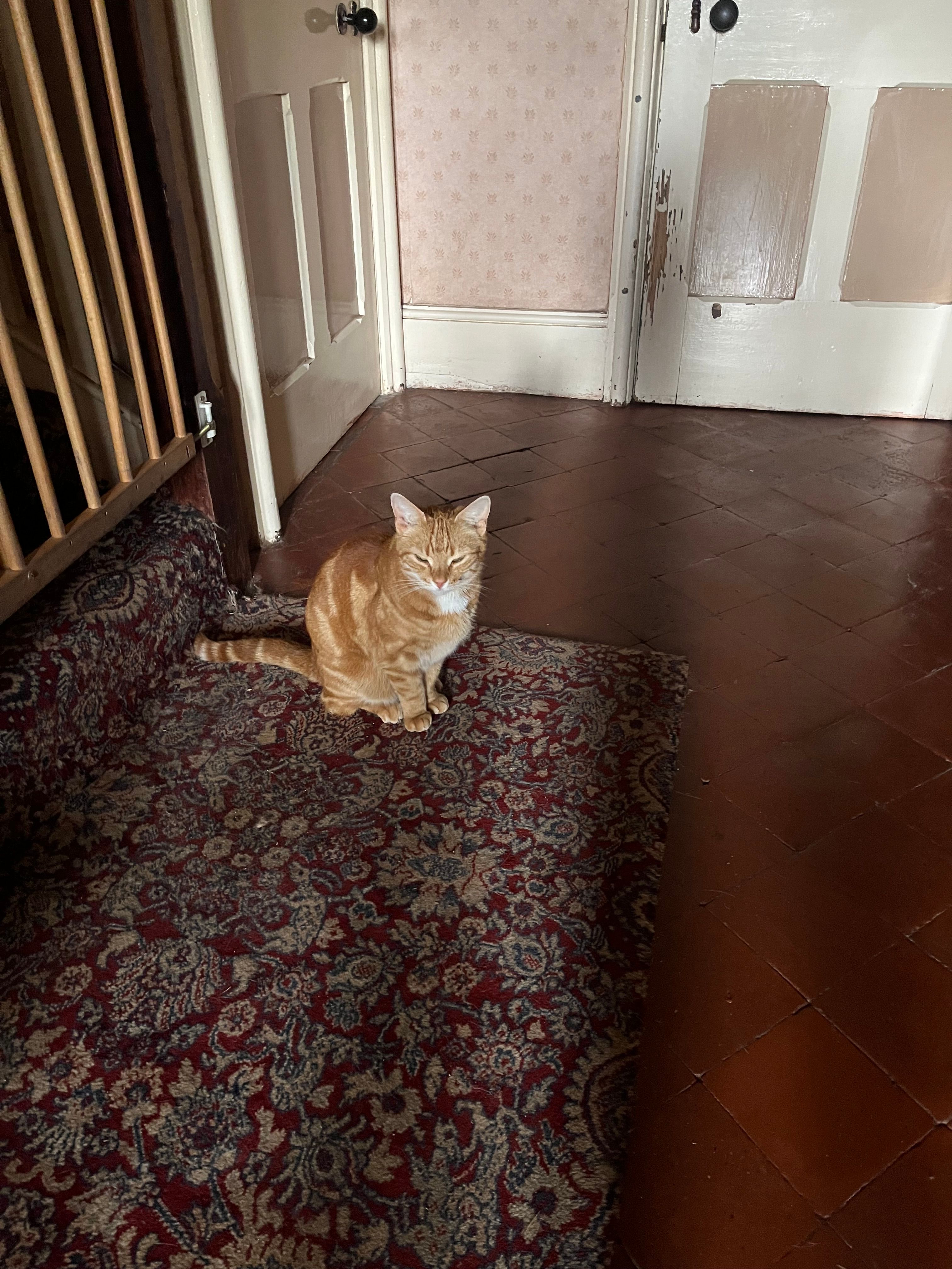 image-11