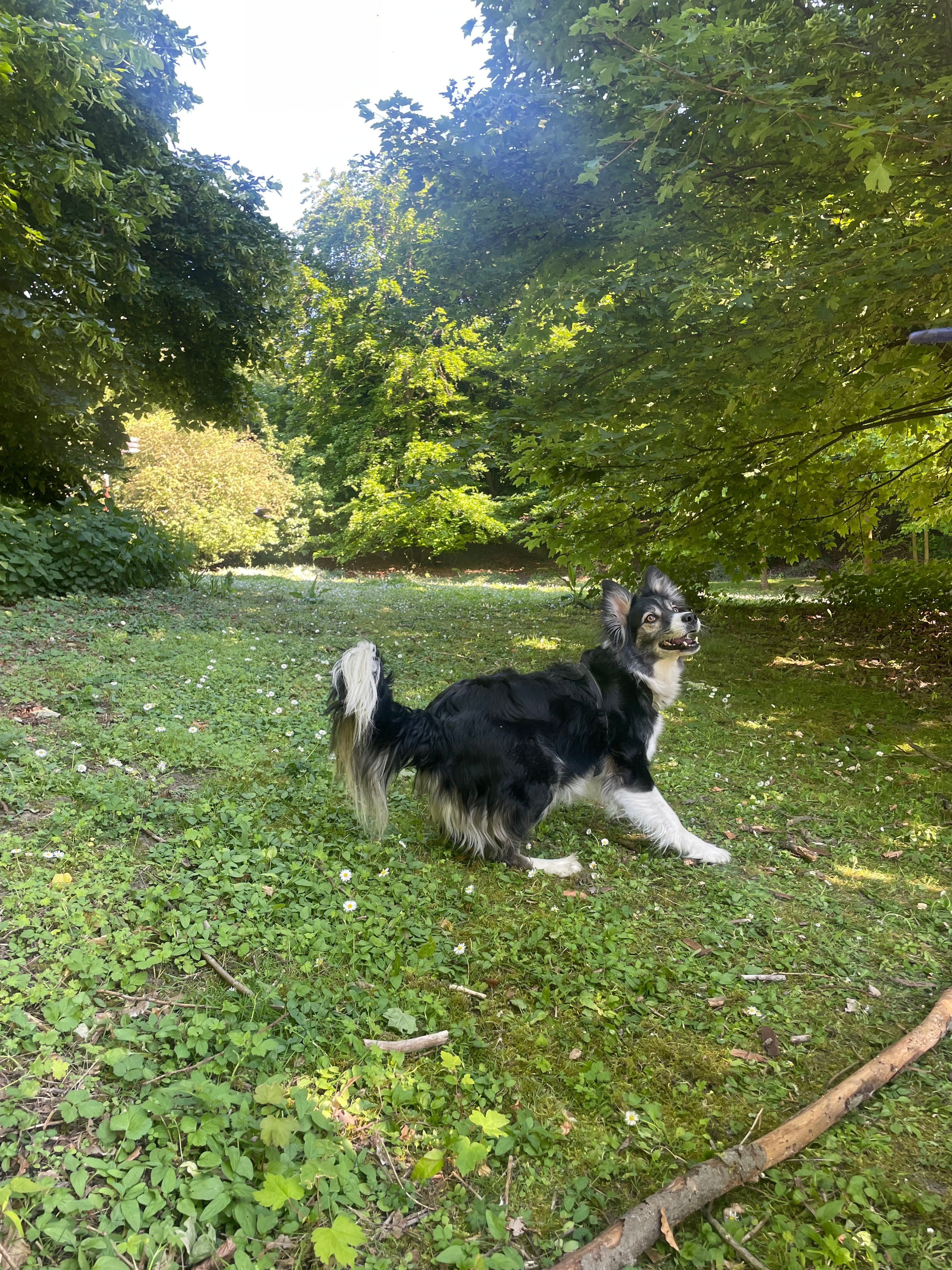image-2