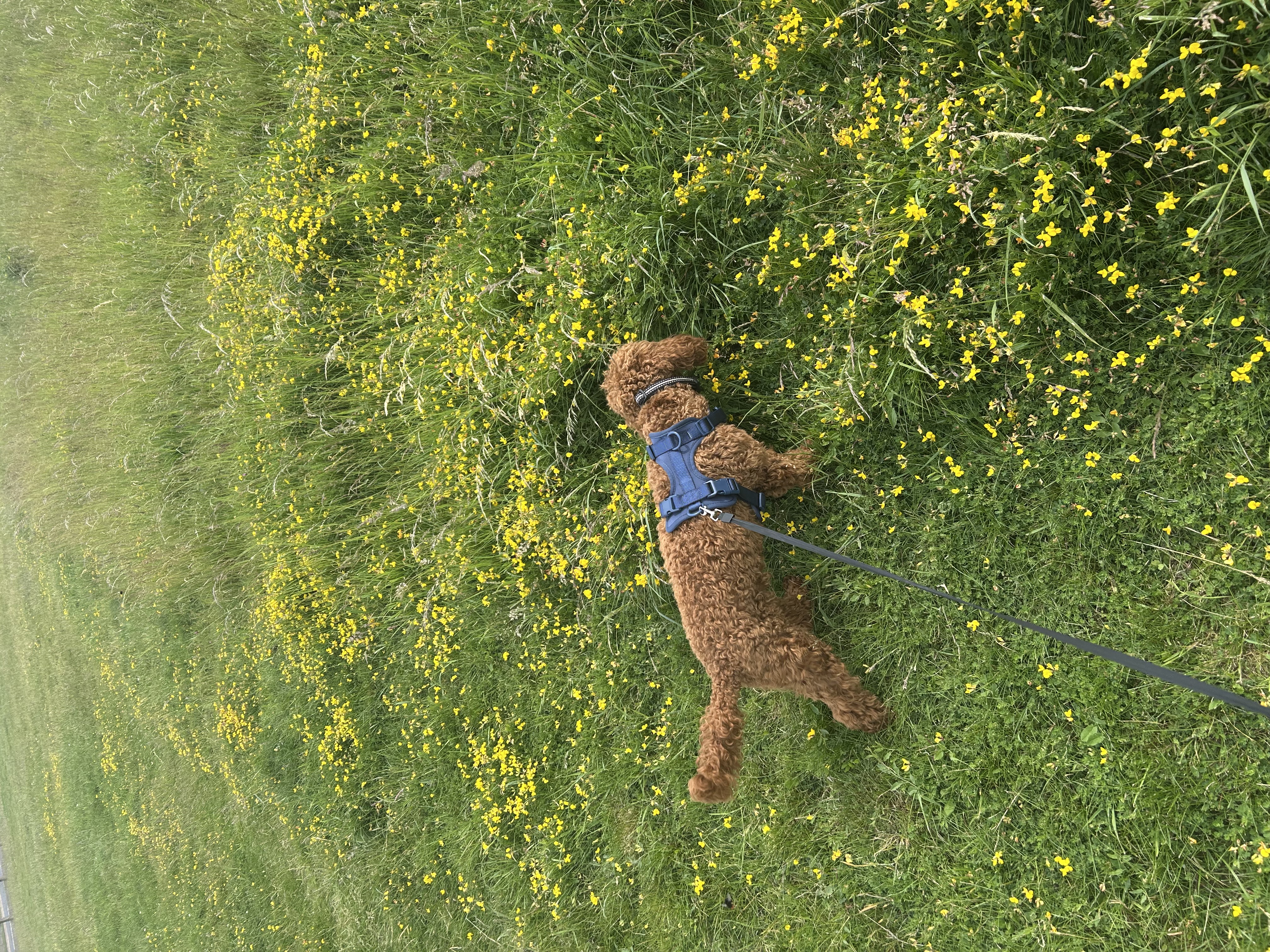 image-5