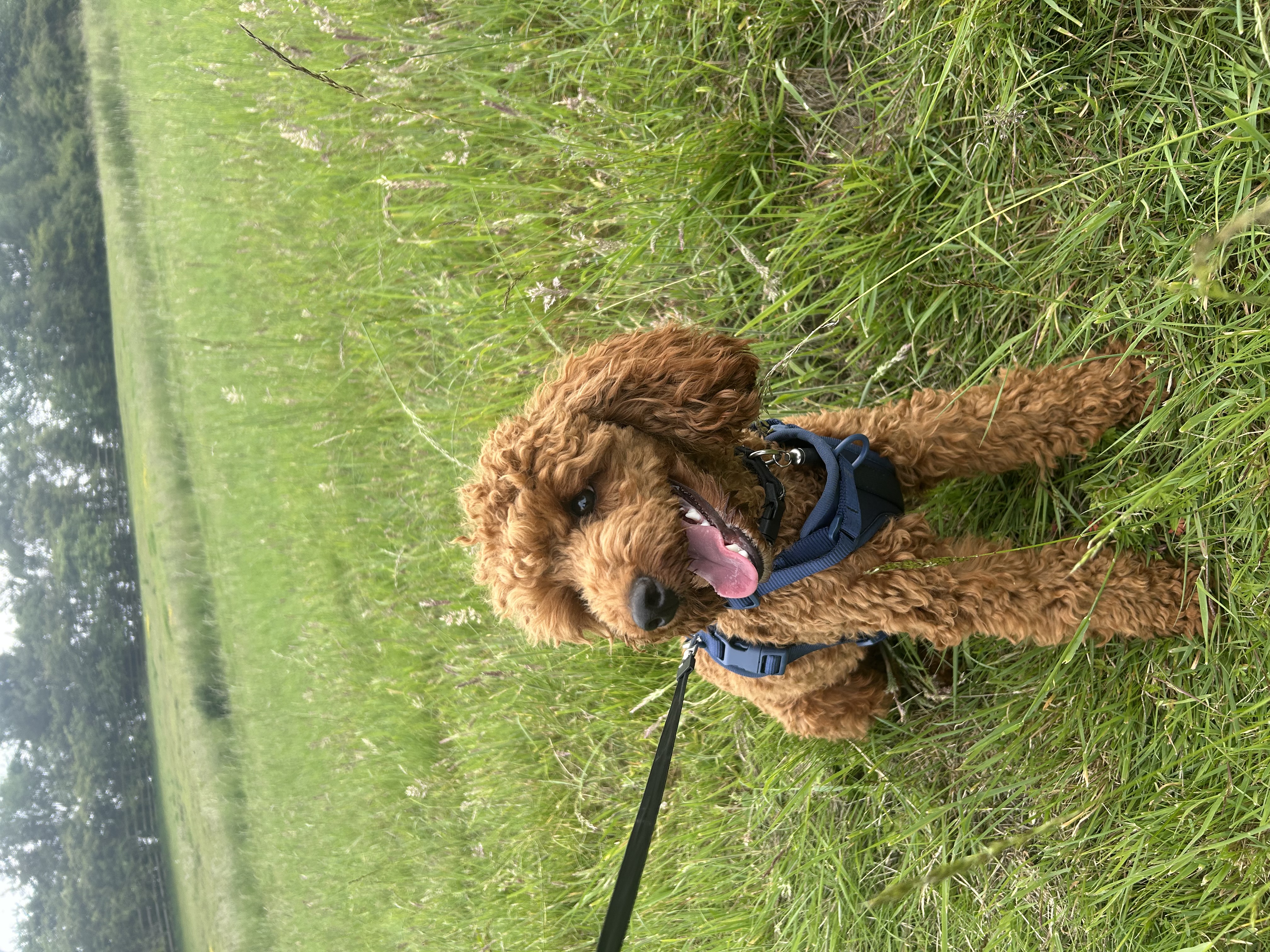 image-6