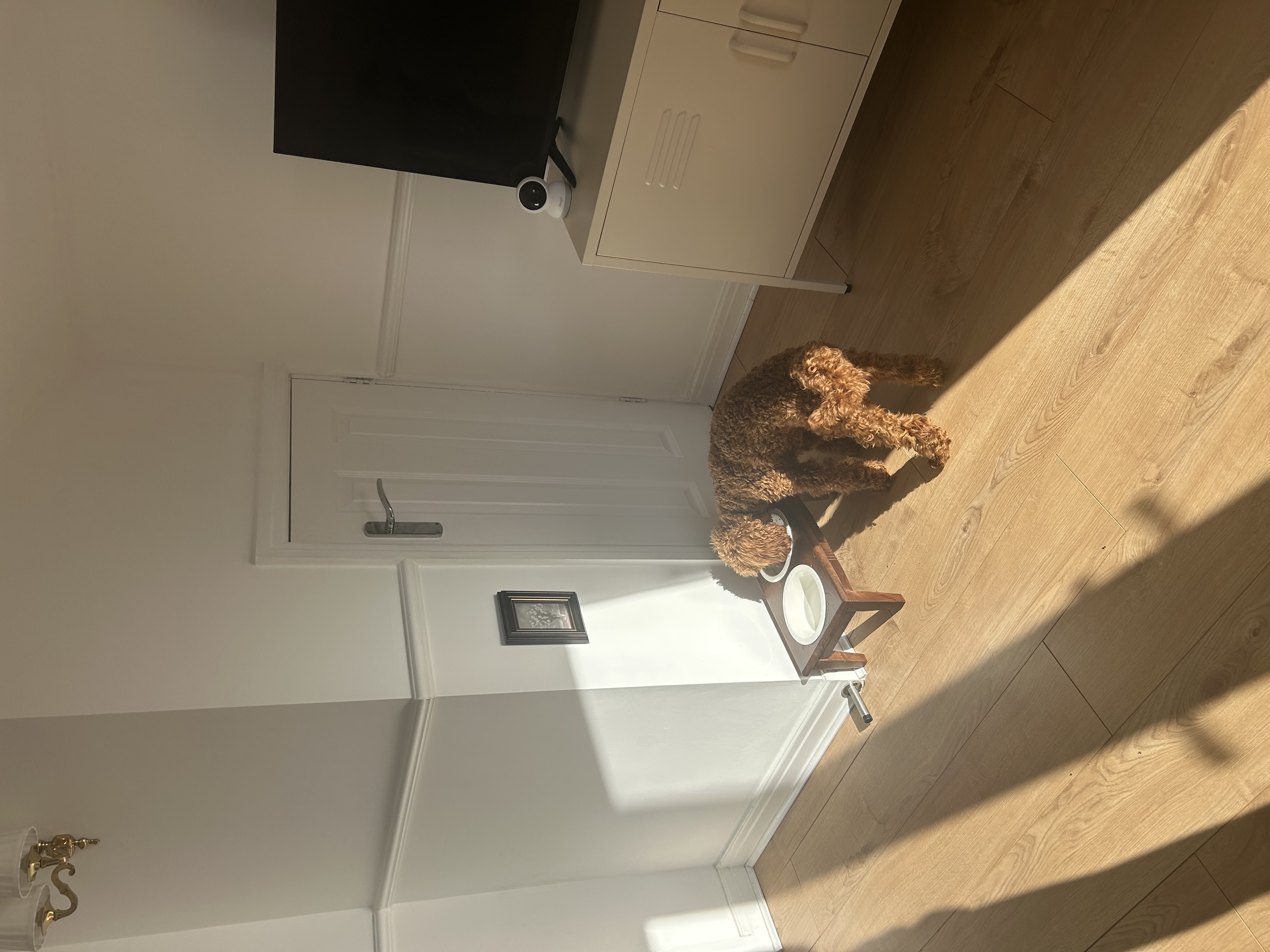 image-16