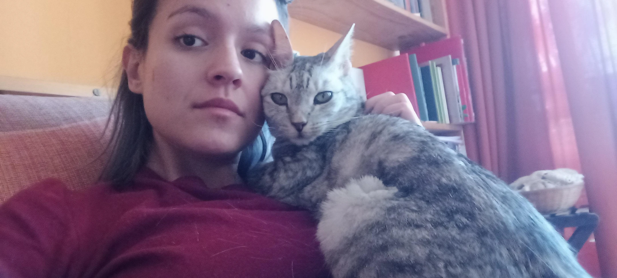 image-5