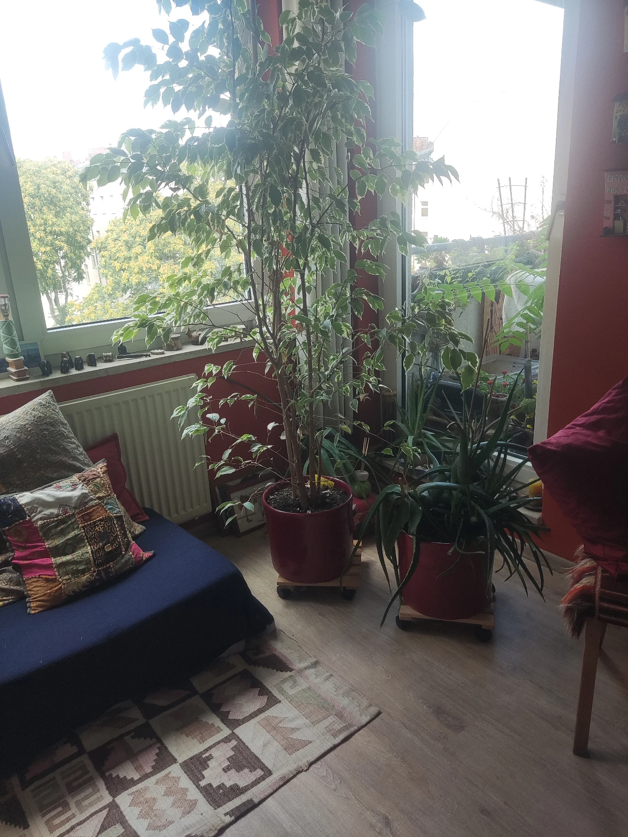 image-11