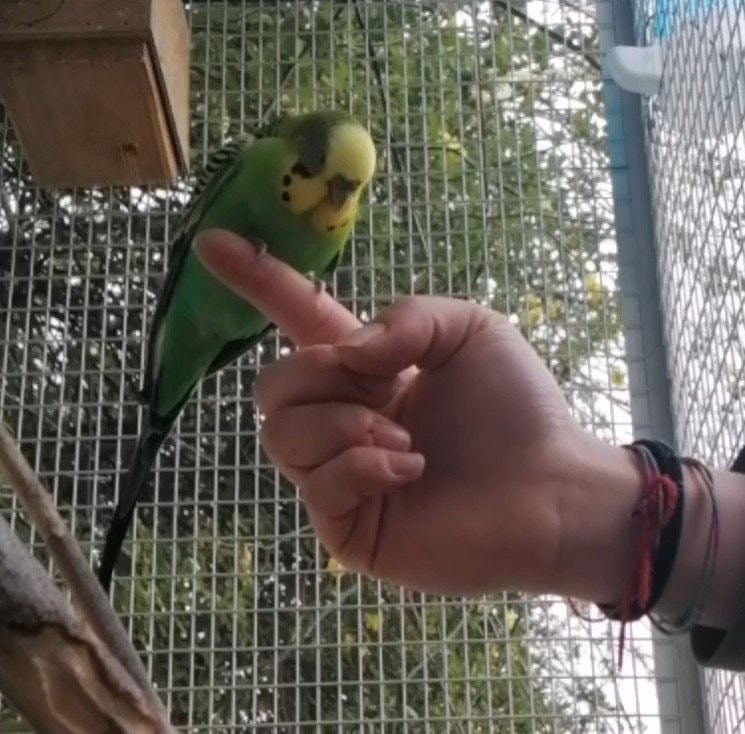 image-4