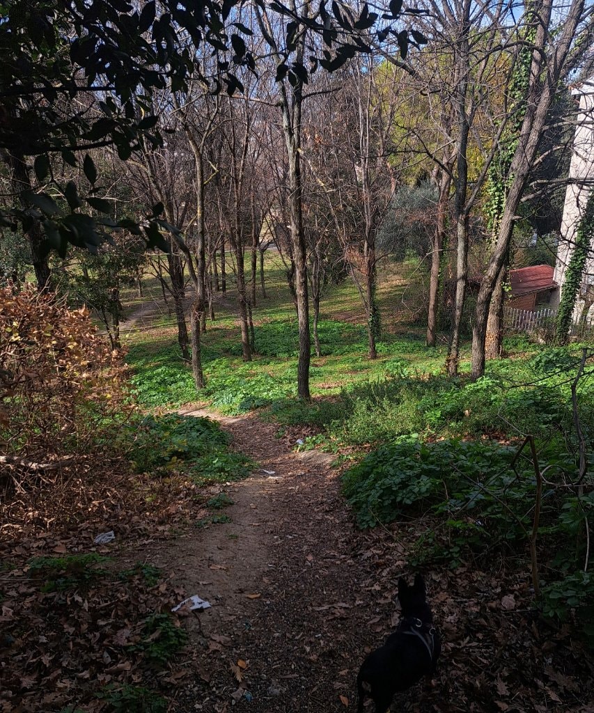 image-6