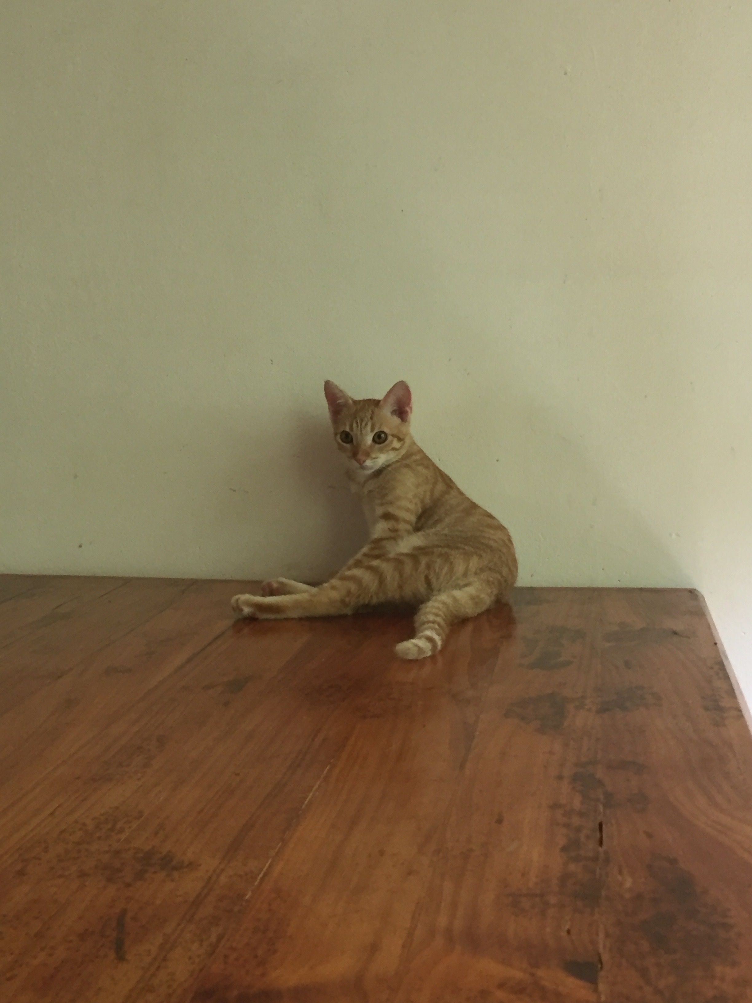 image-7