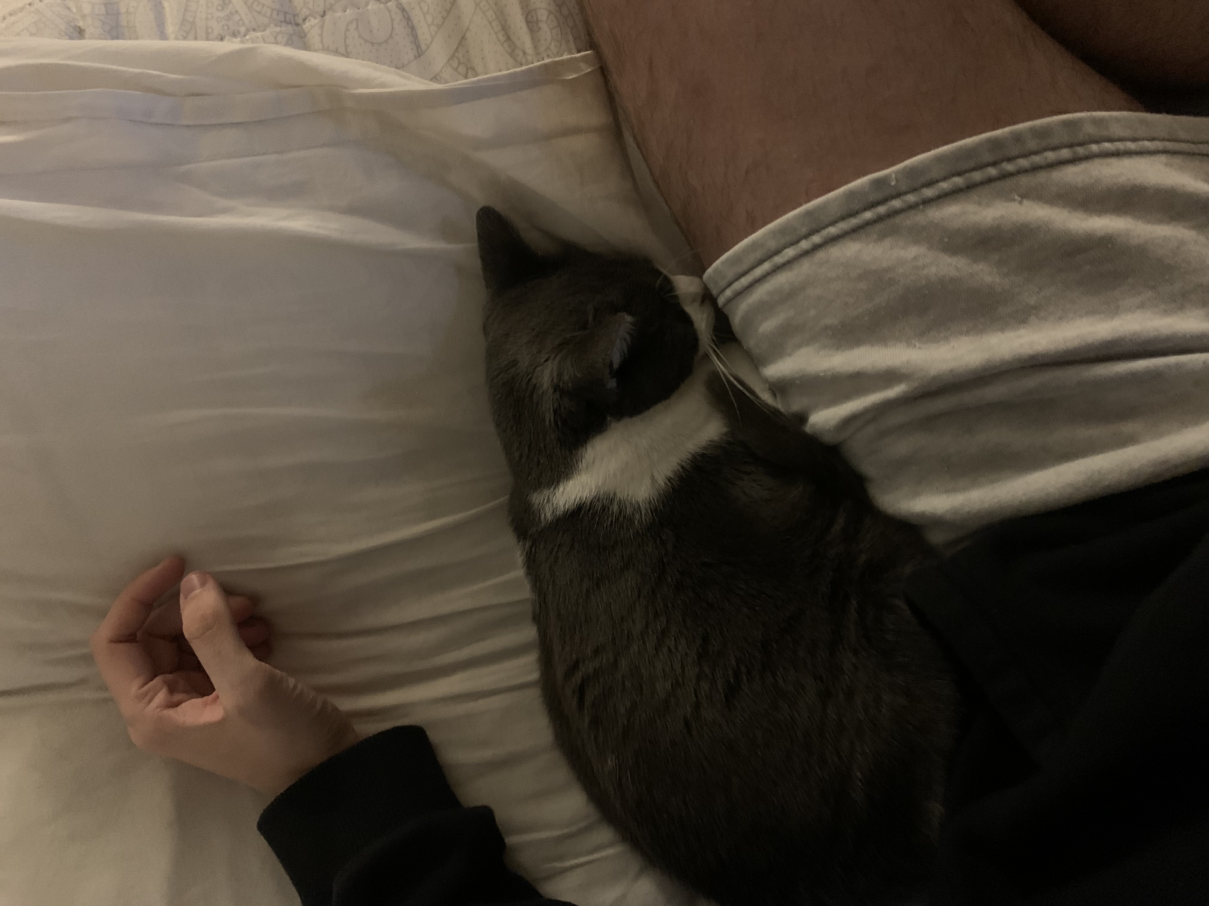 image-10