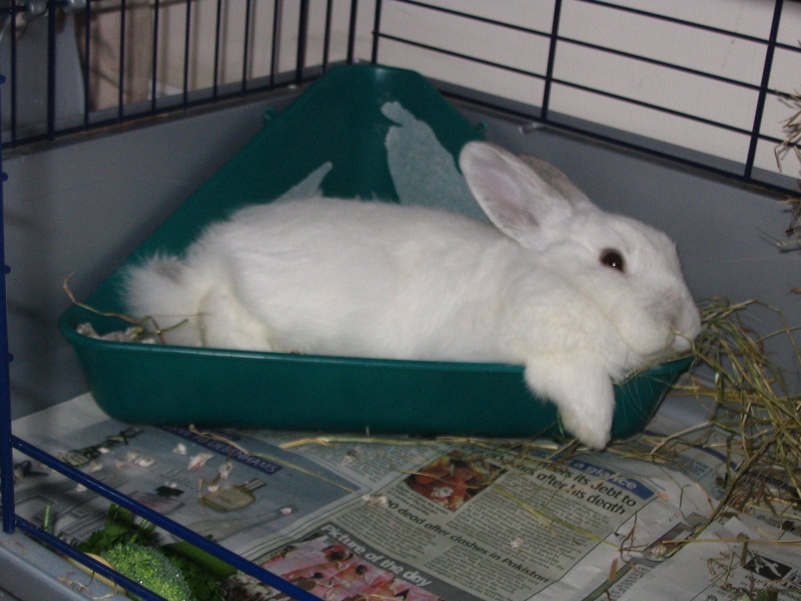 image-13