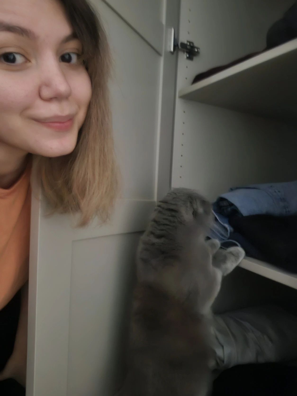 image-8