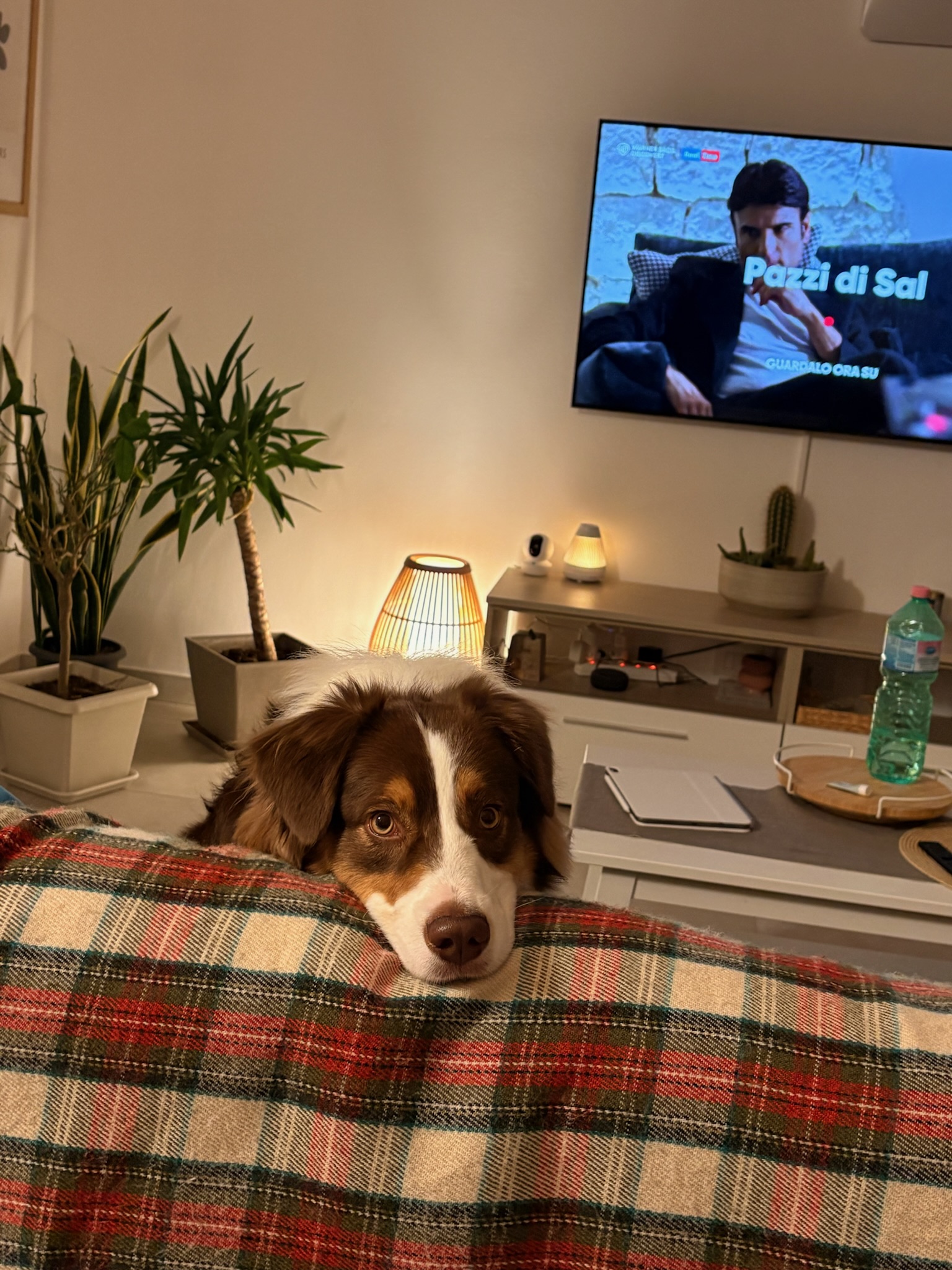 image-9
