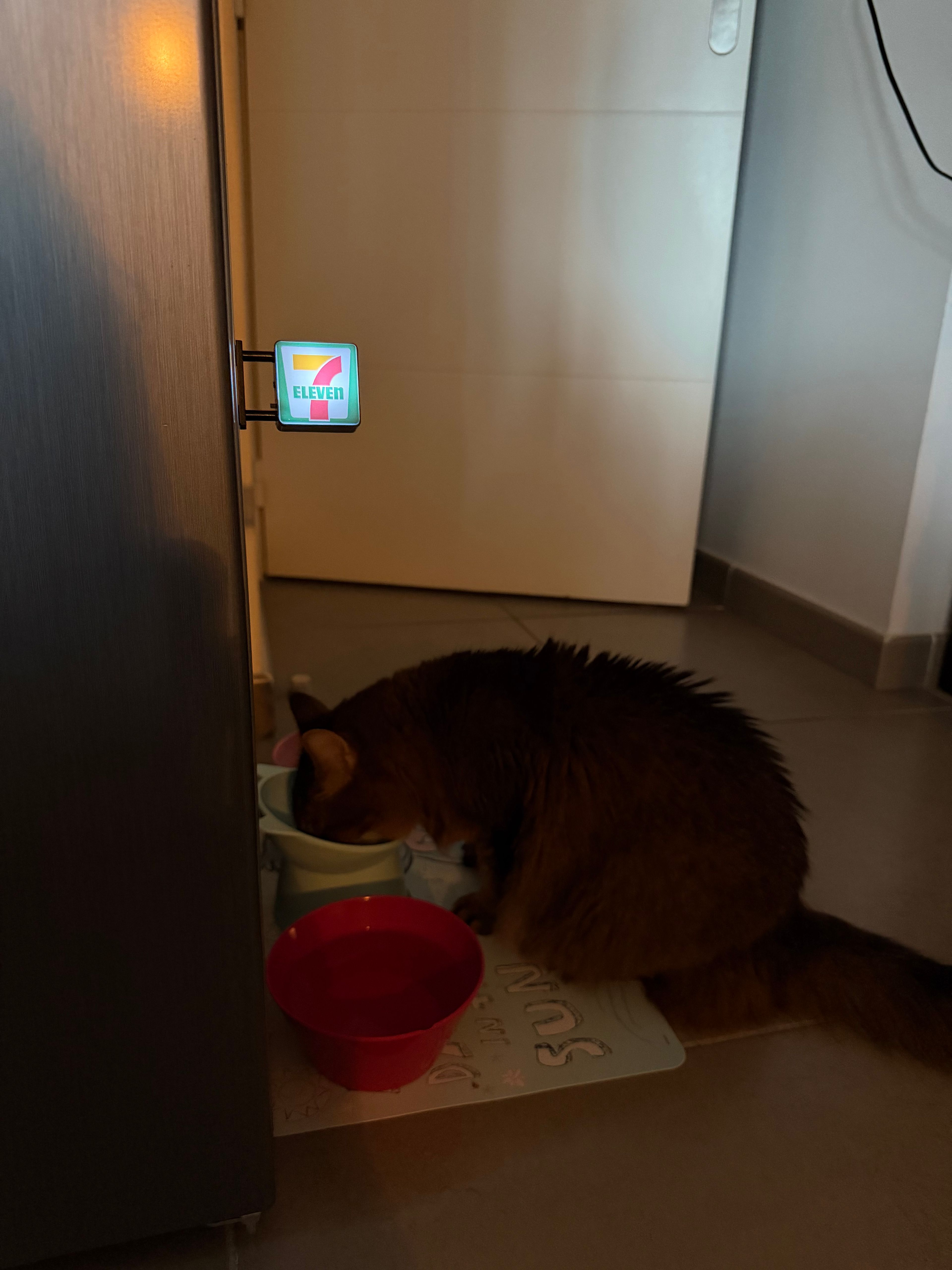 image-11