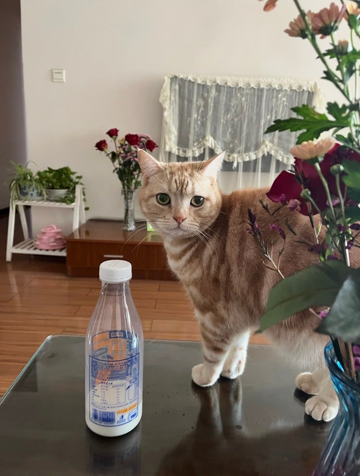 image-16
