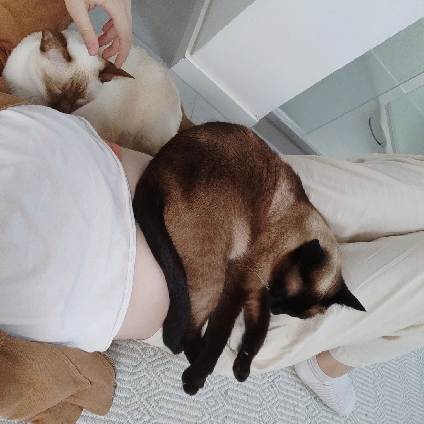 image-7