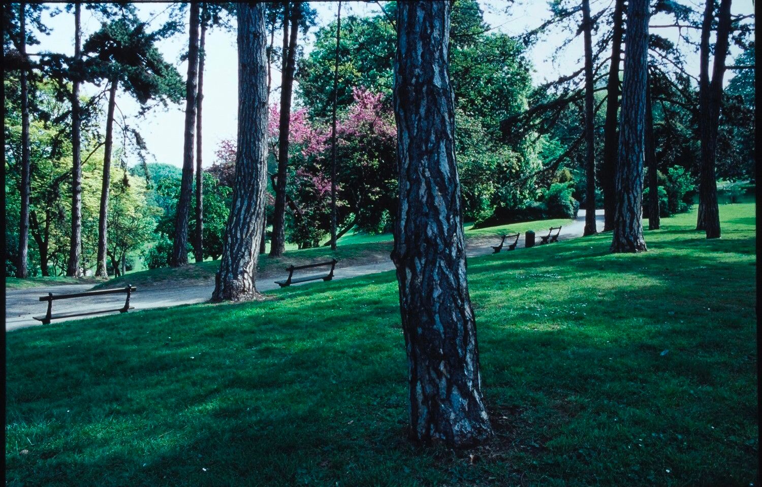 image-19