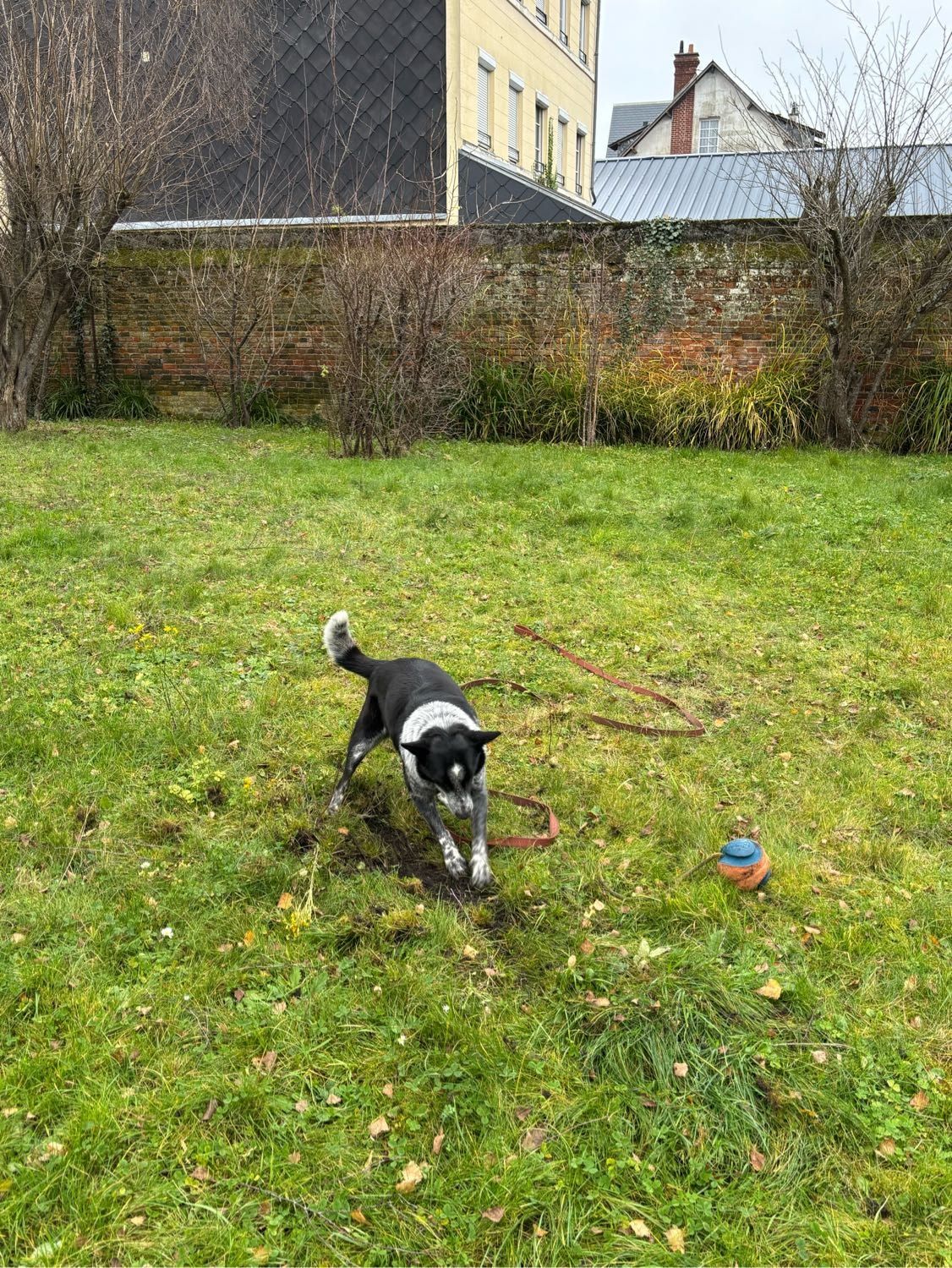 image-5