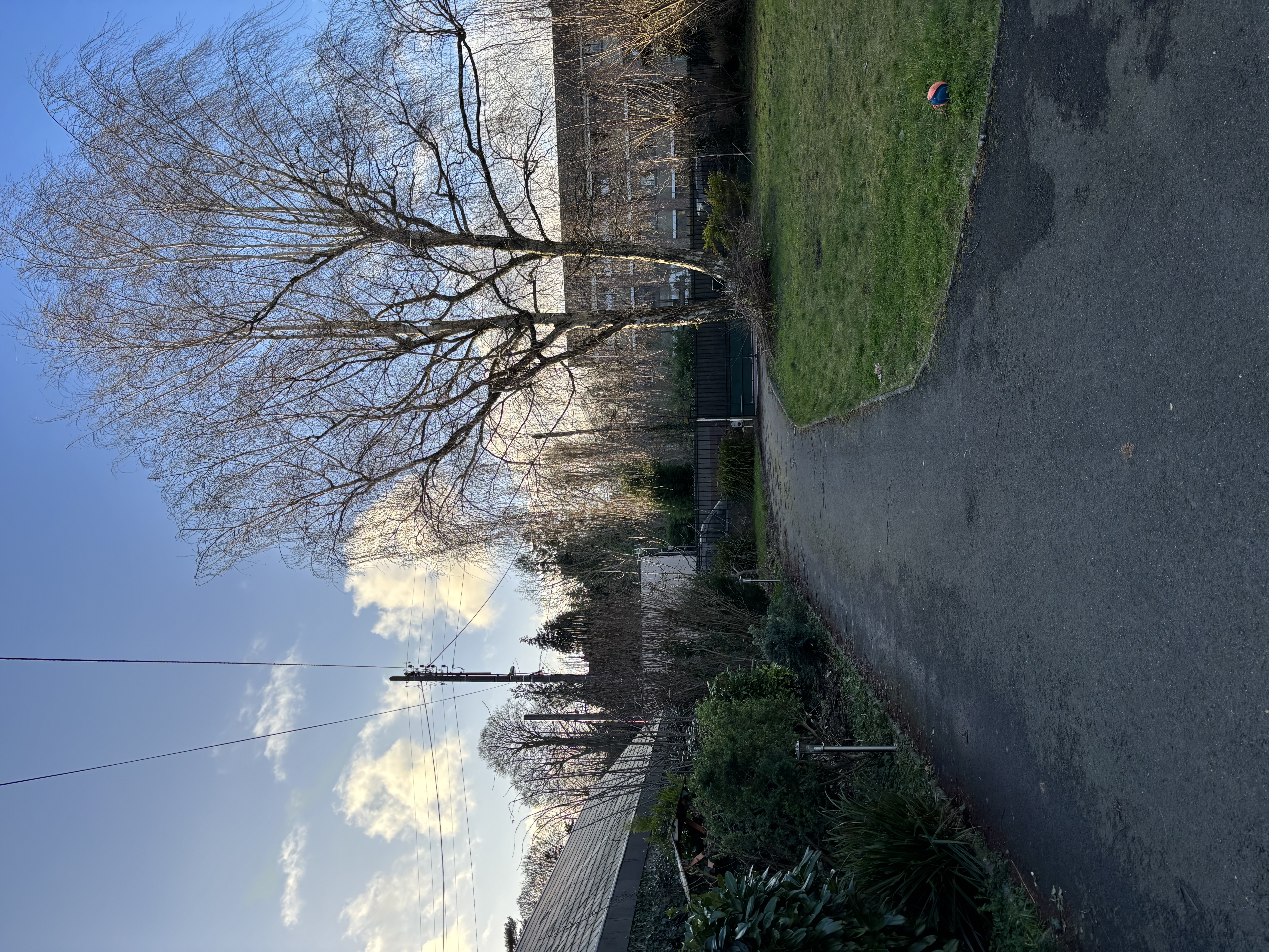 image-32