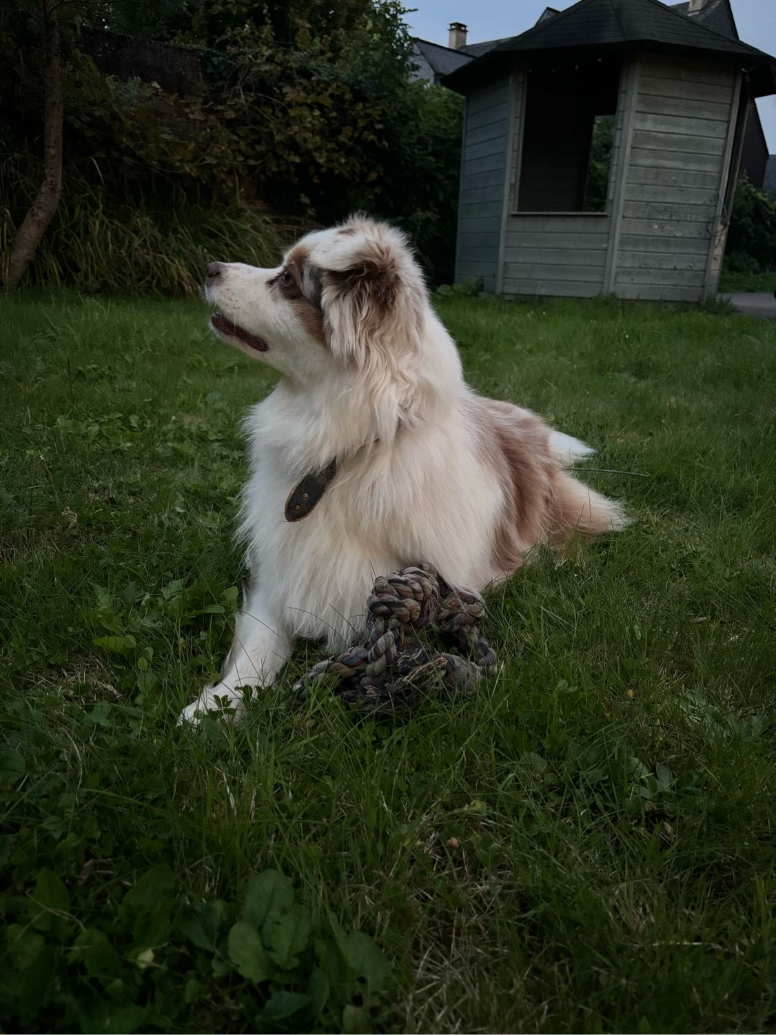 image-8