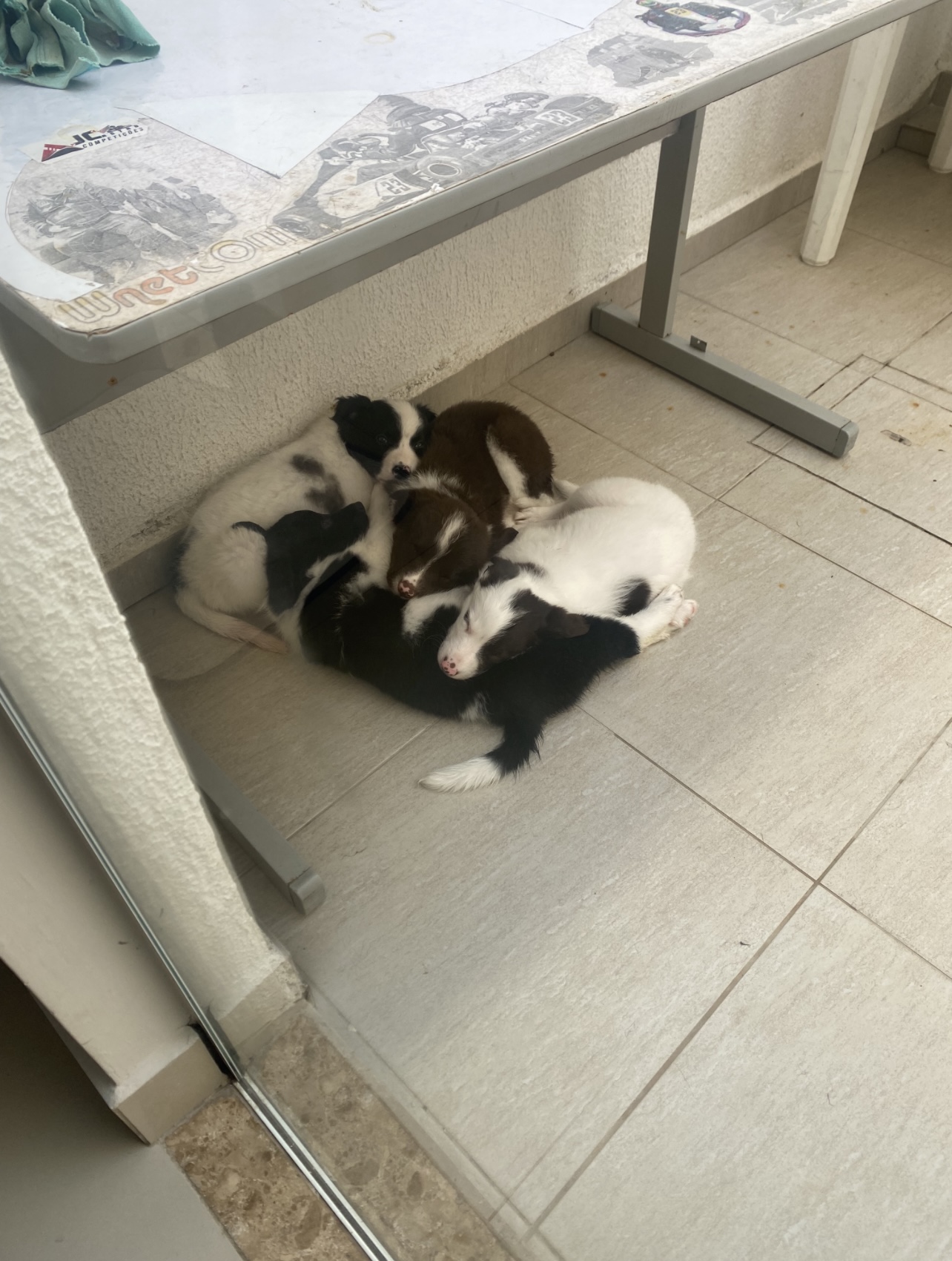 image-6
