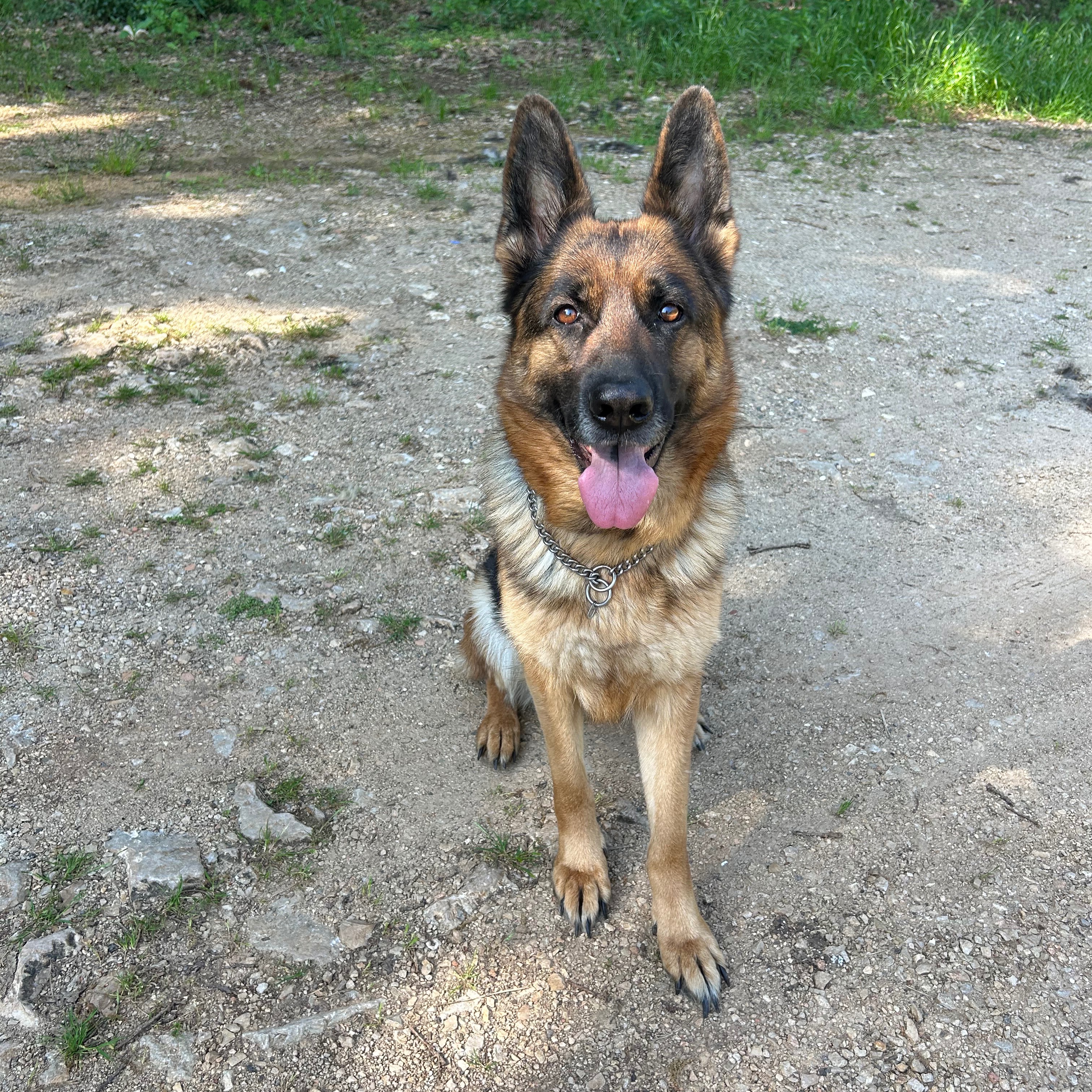 Nala