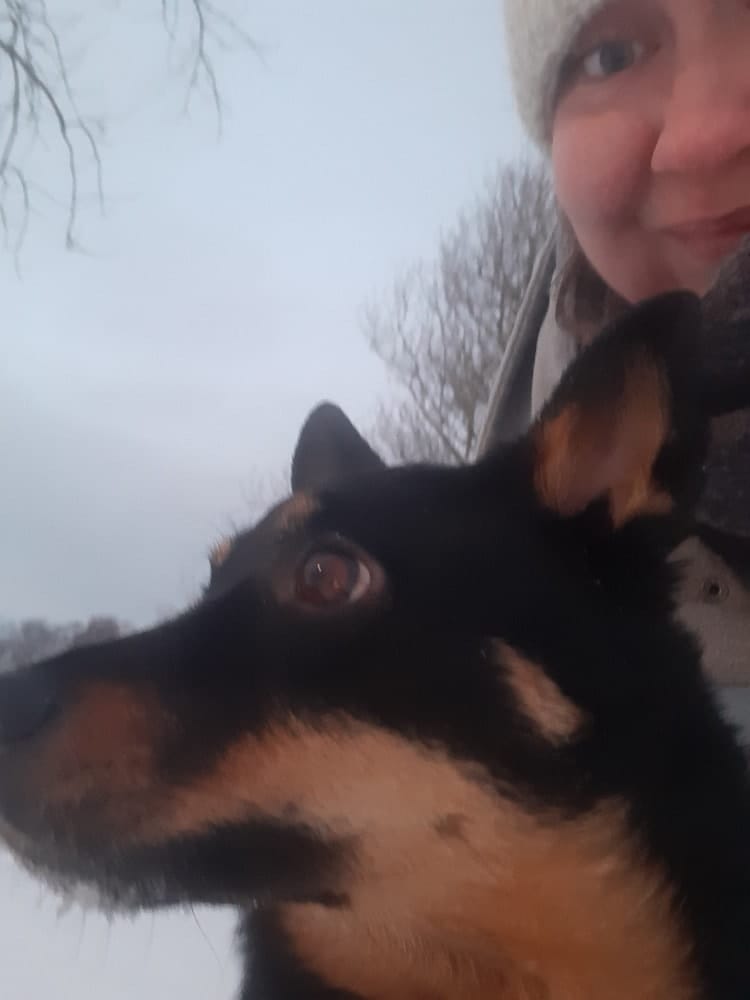 image-8