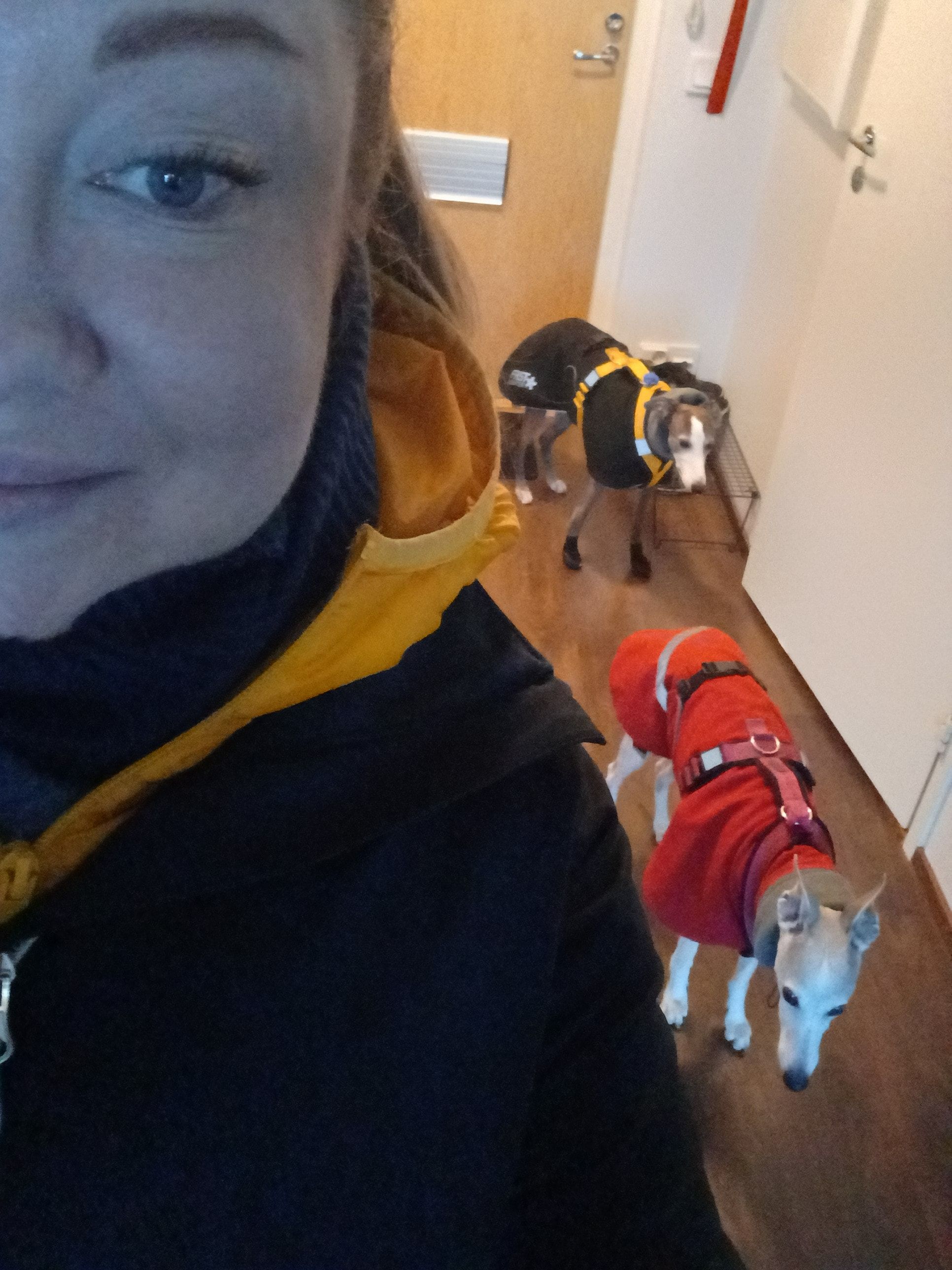 image-18