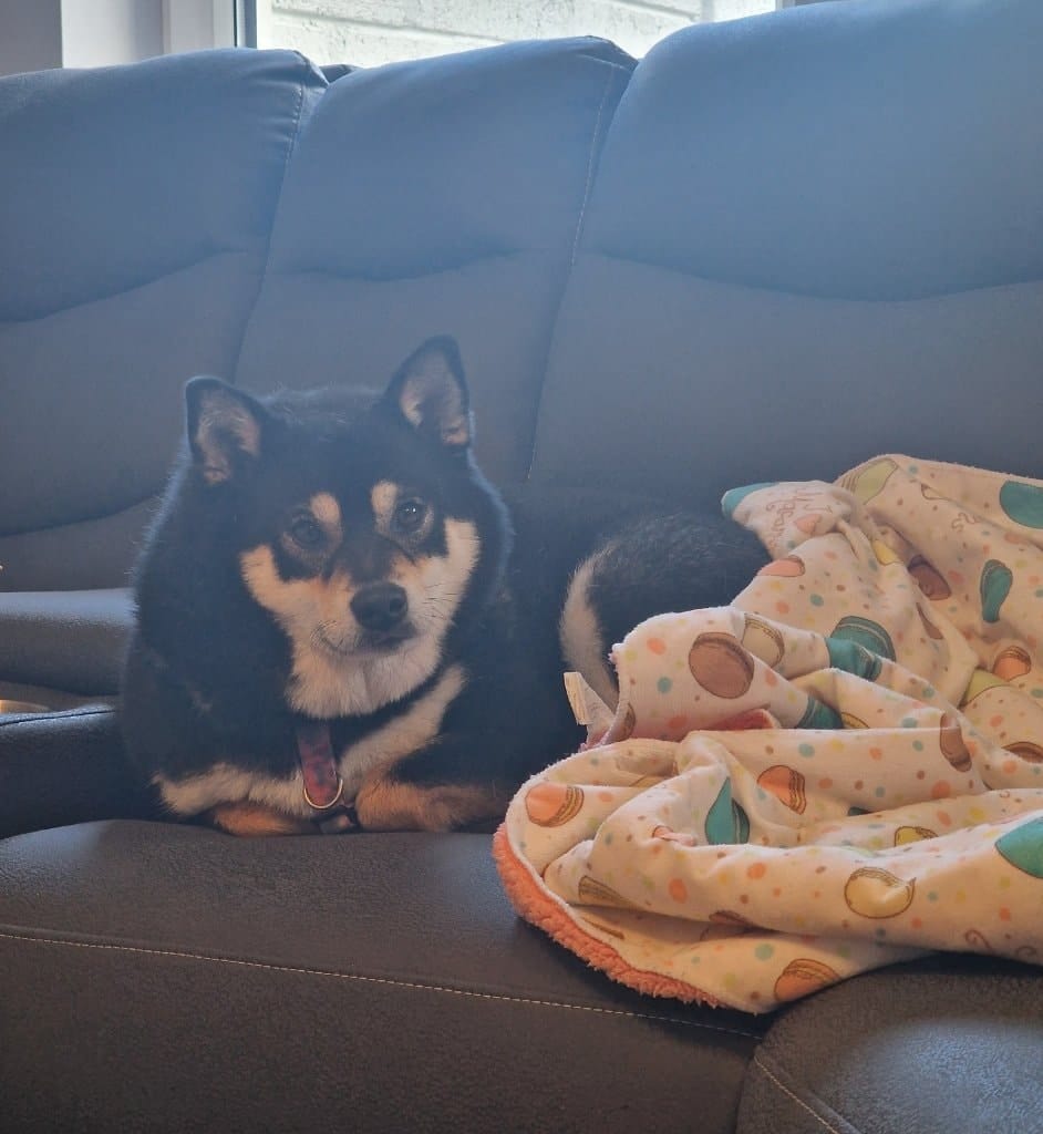 image-9