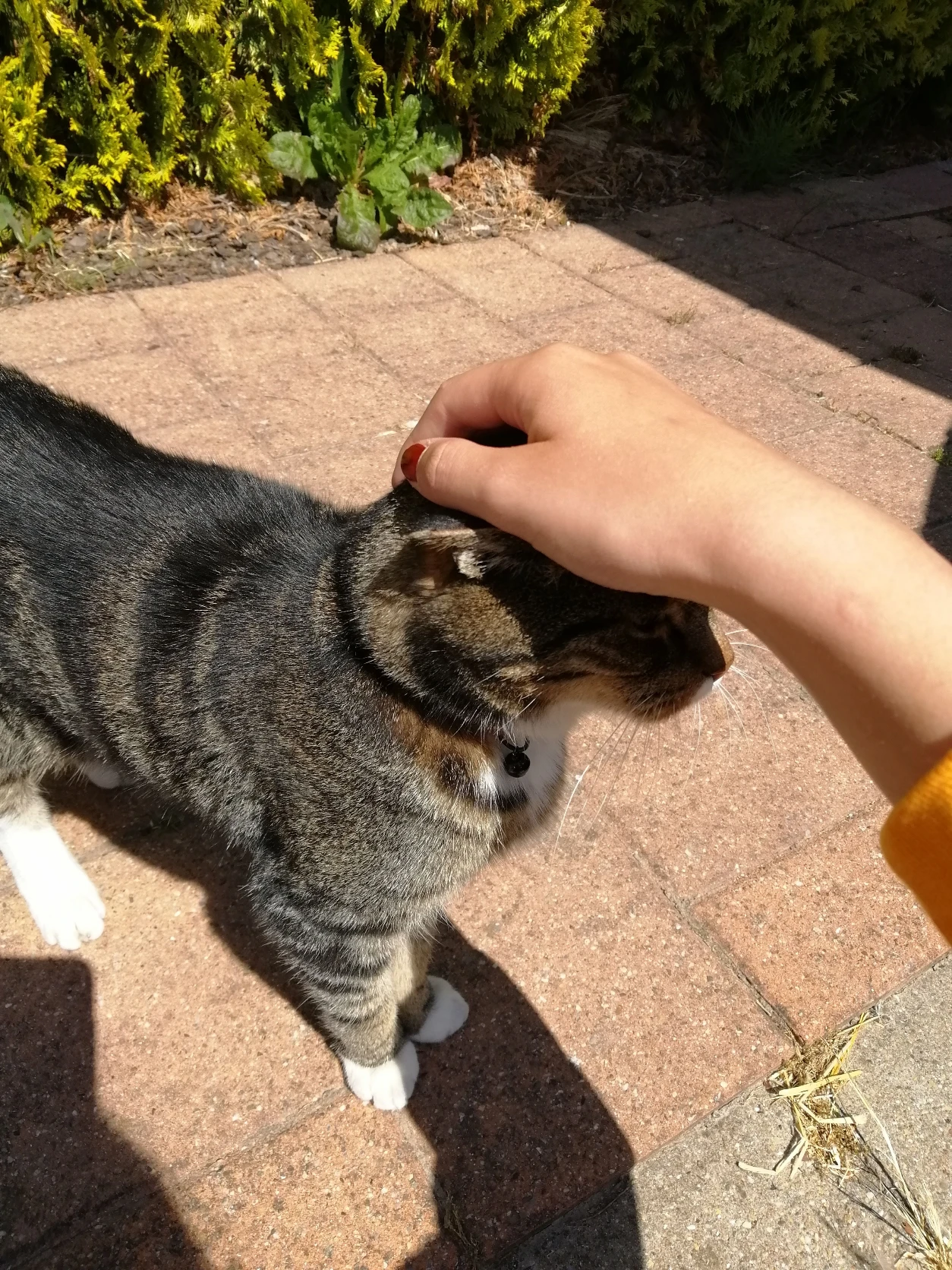 image-11