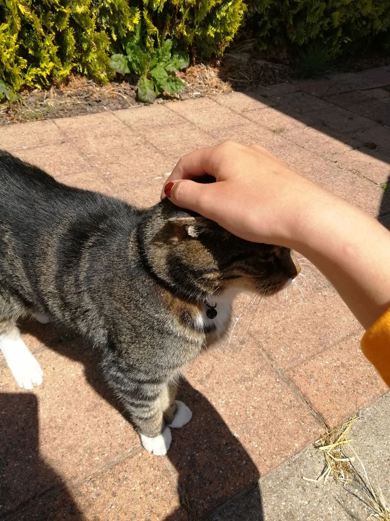 image-11