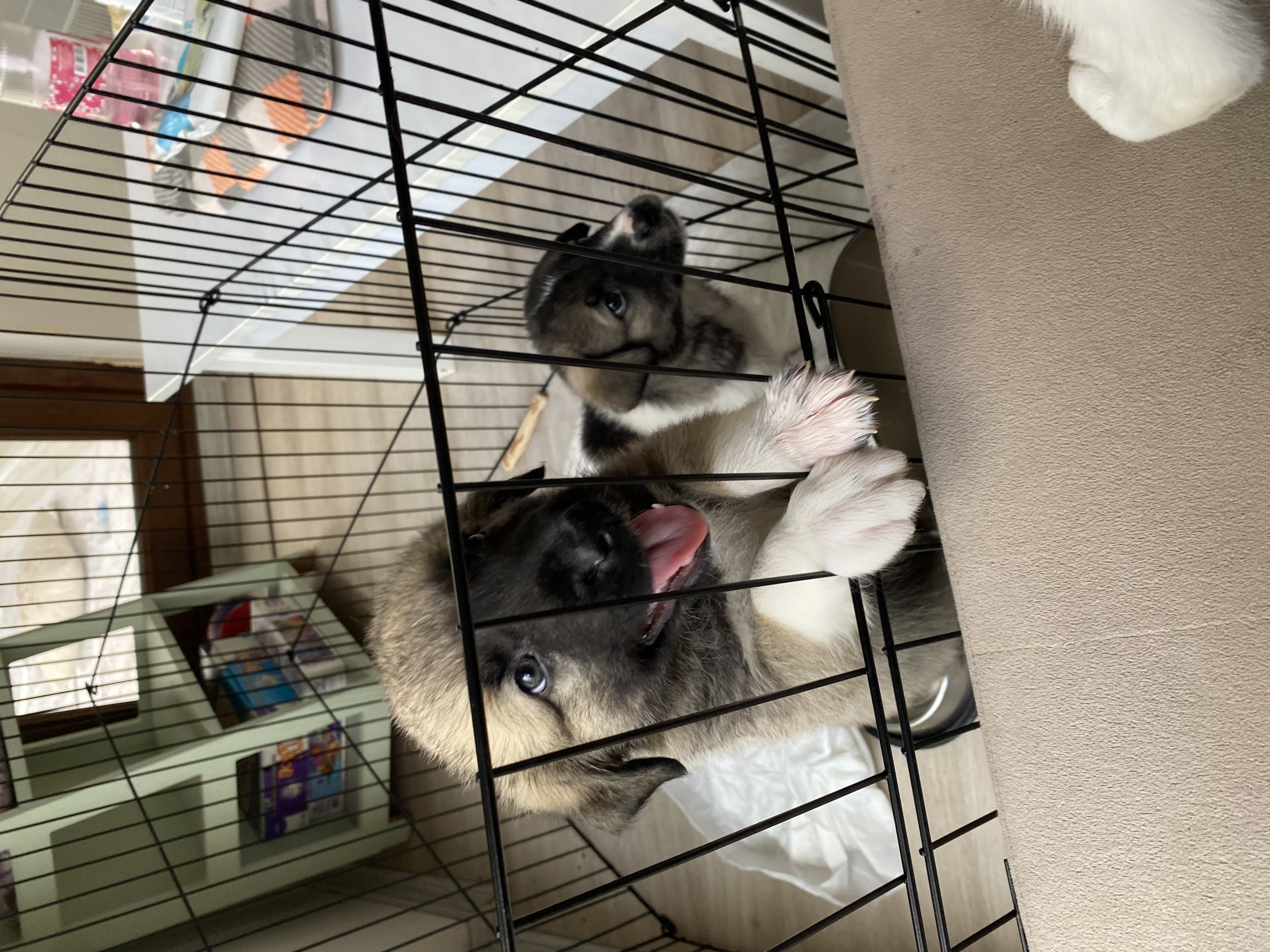 image-9