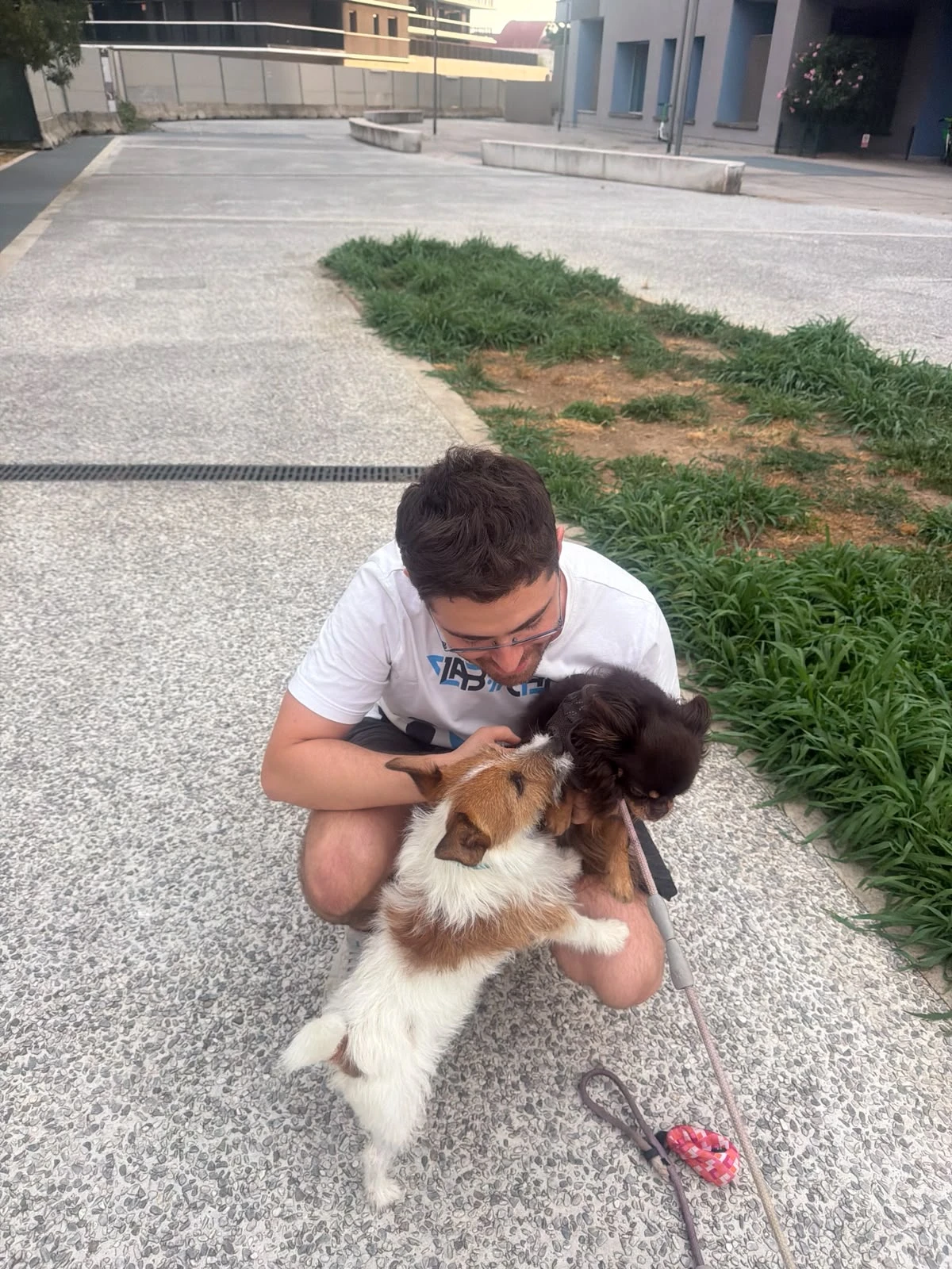 image-6