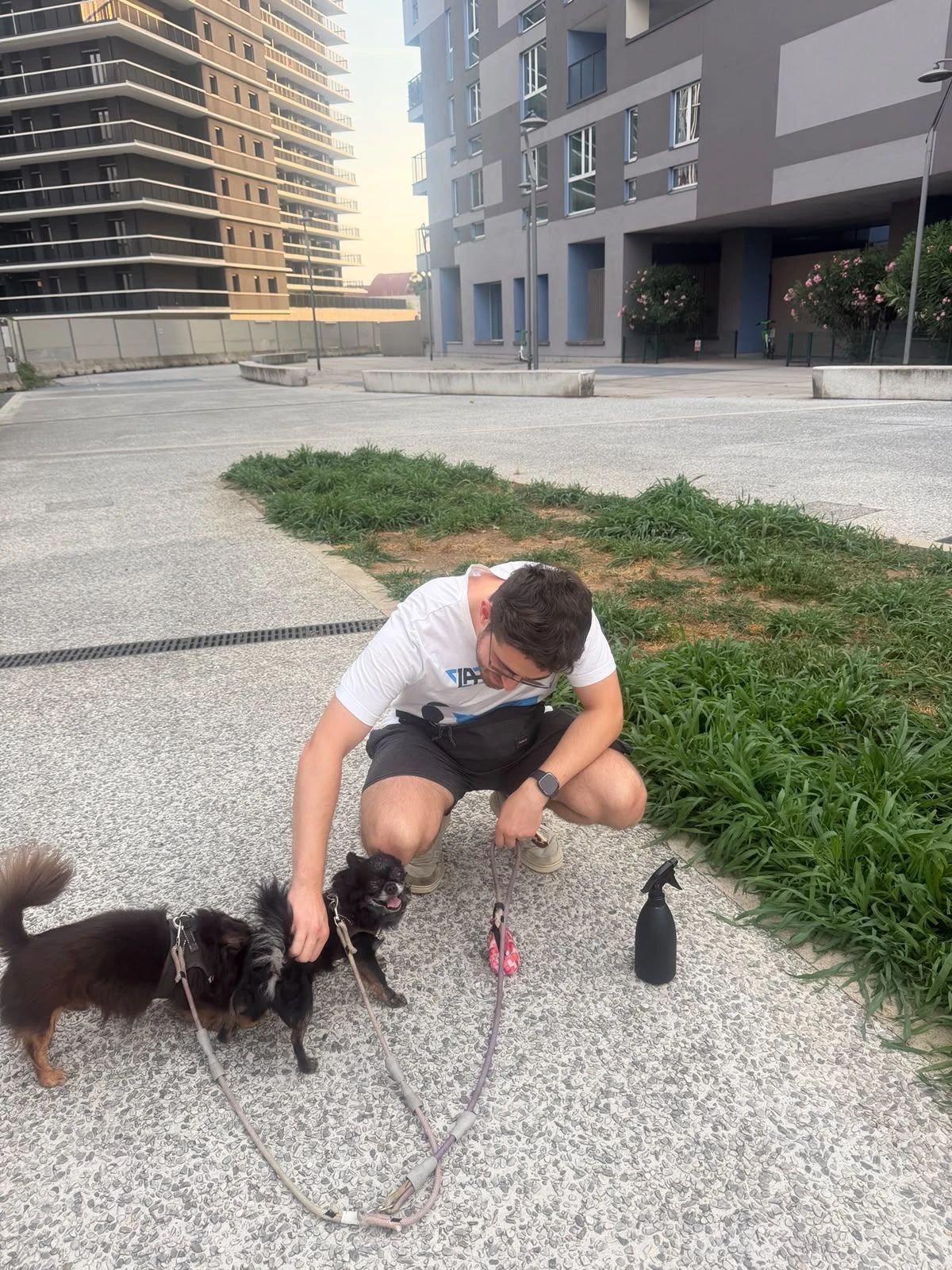 image-7