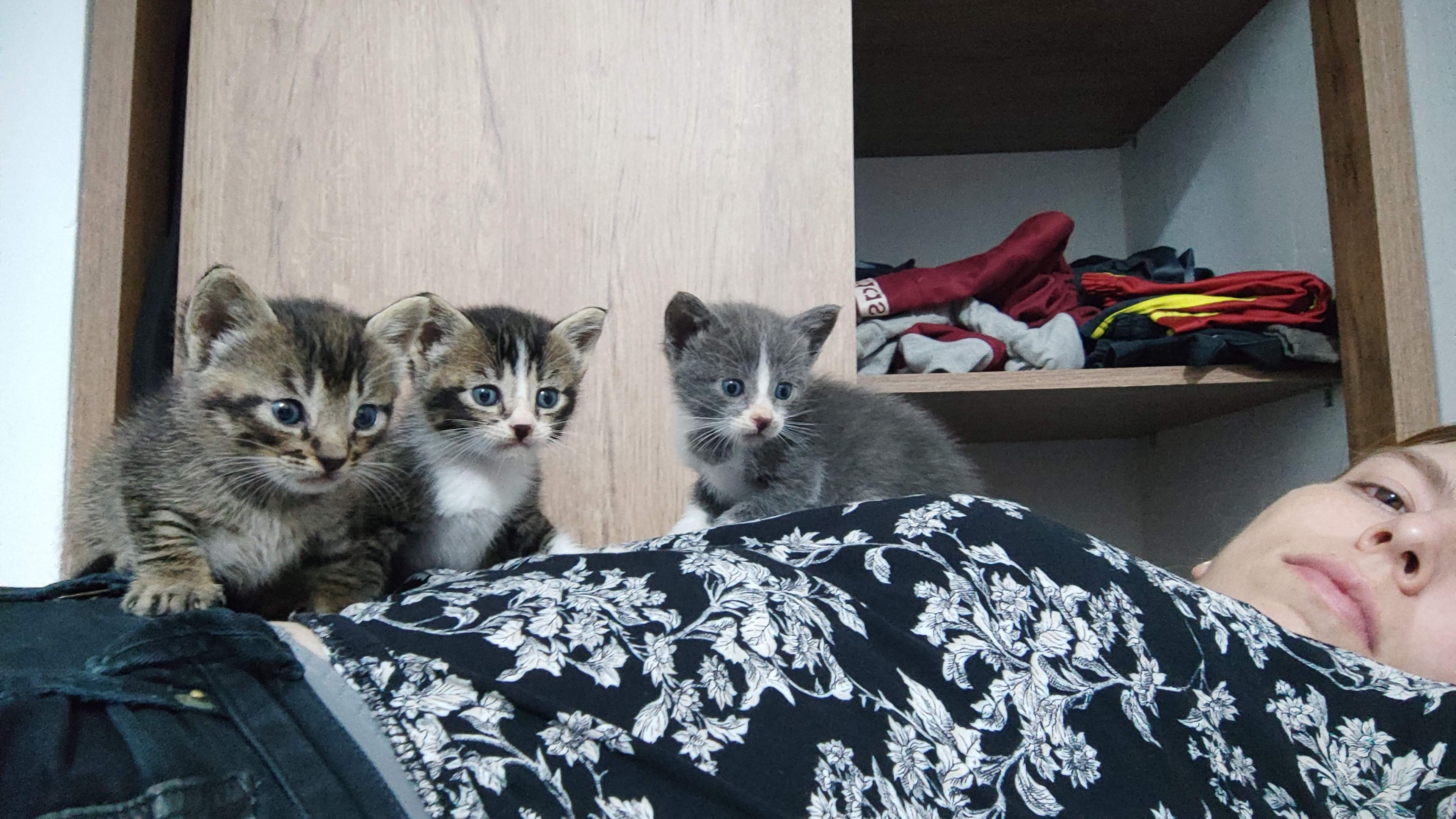 image-8