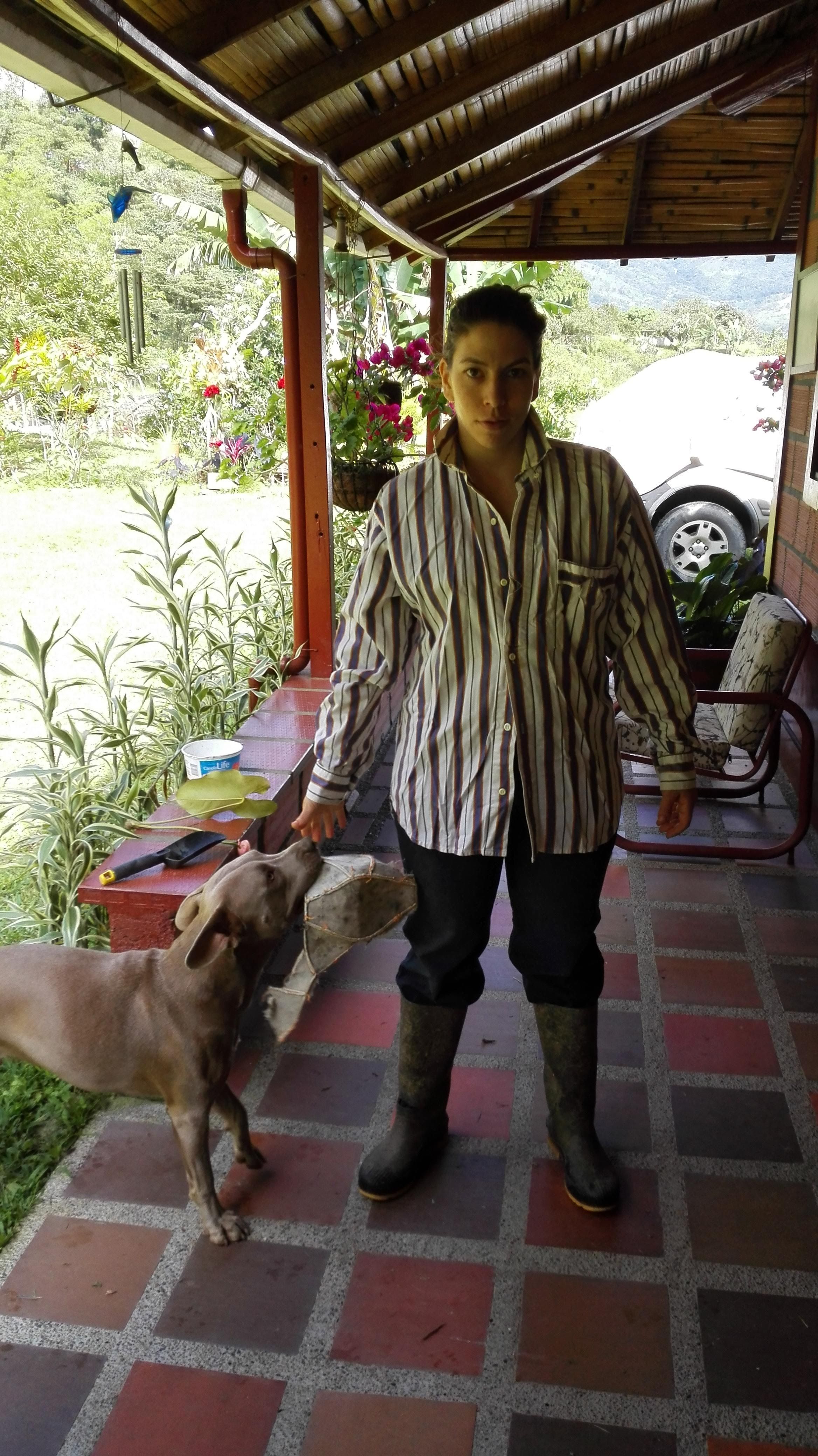 image-7