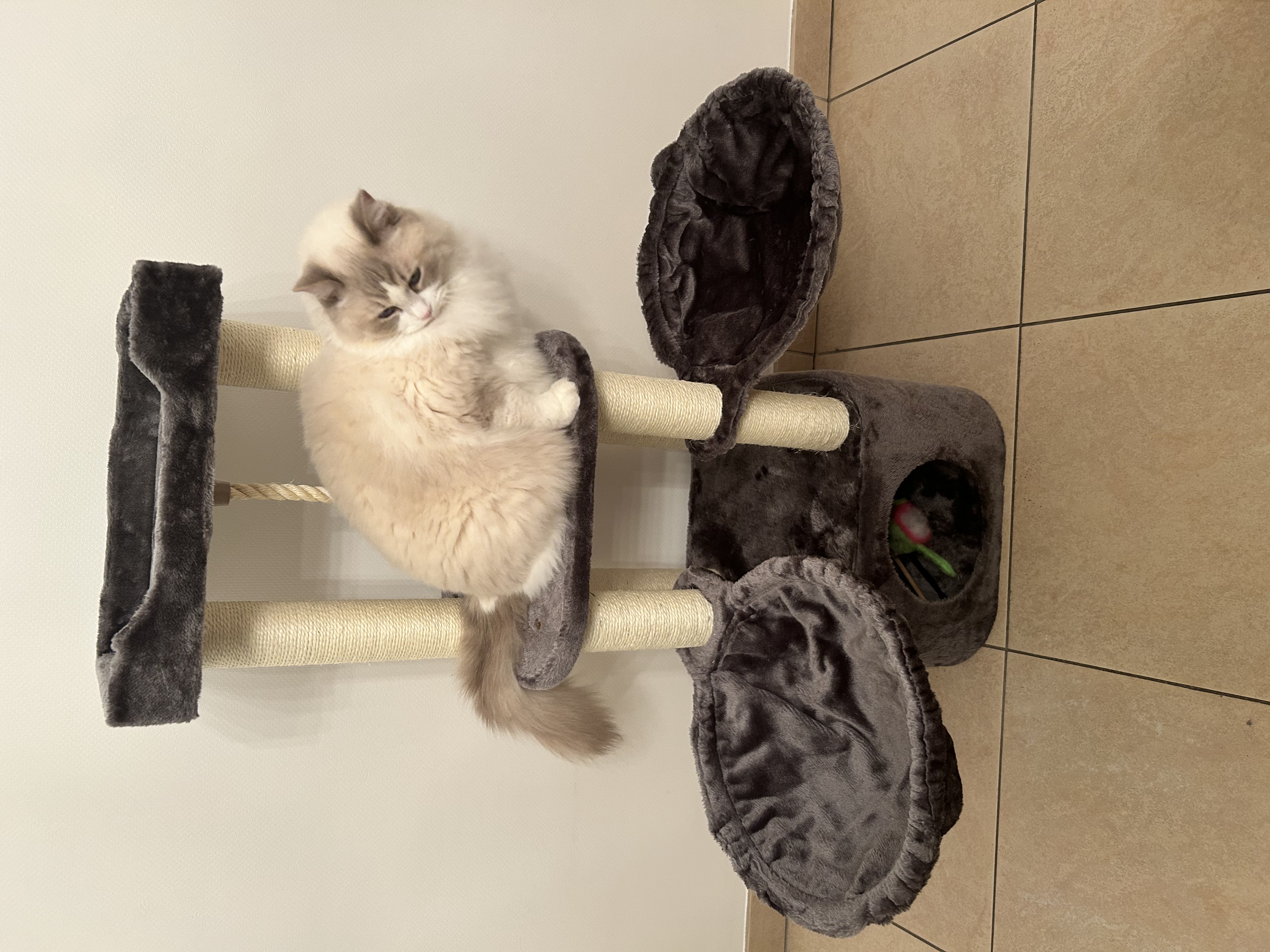 image-6