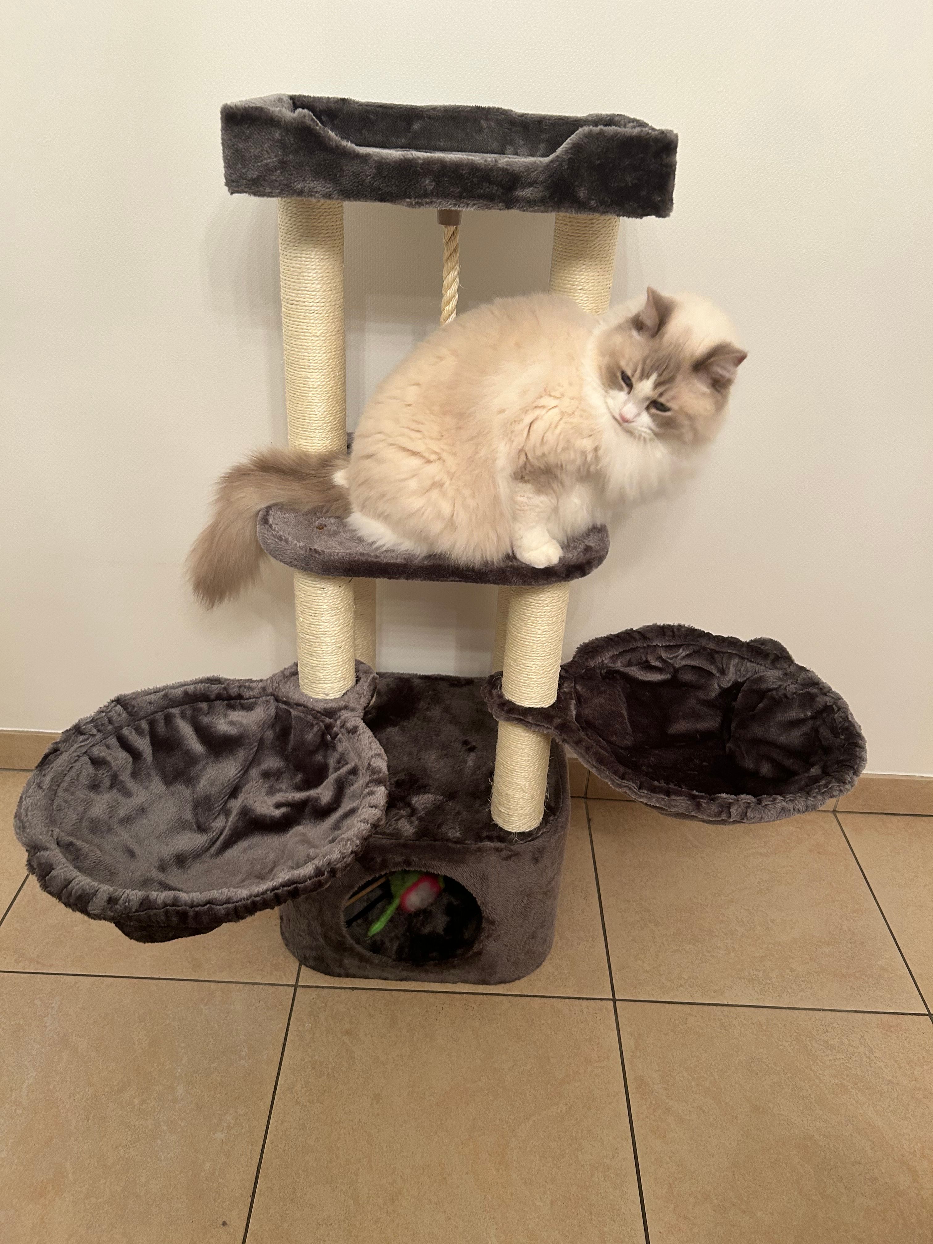 image-6
