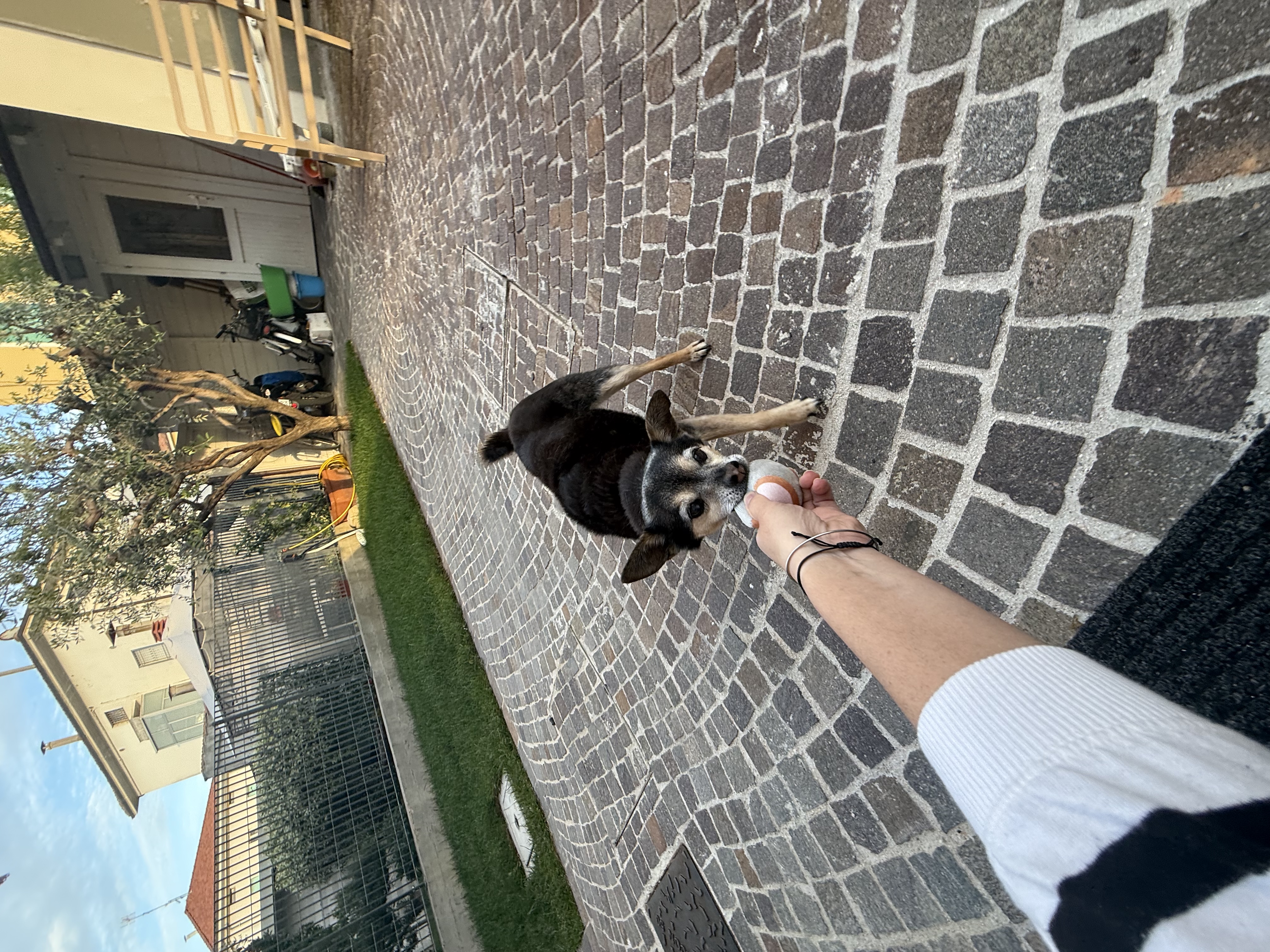 image-10