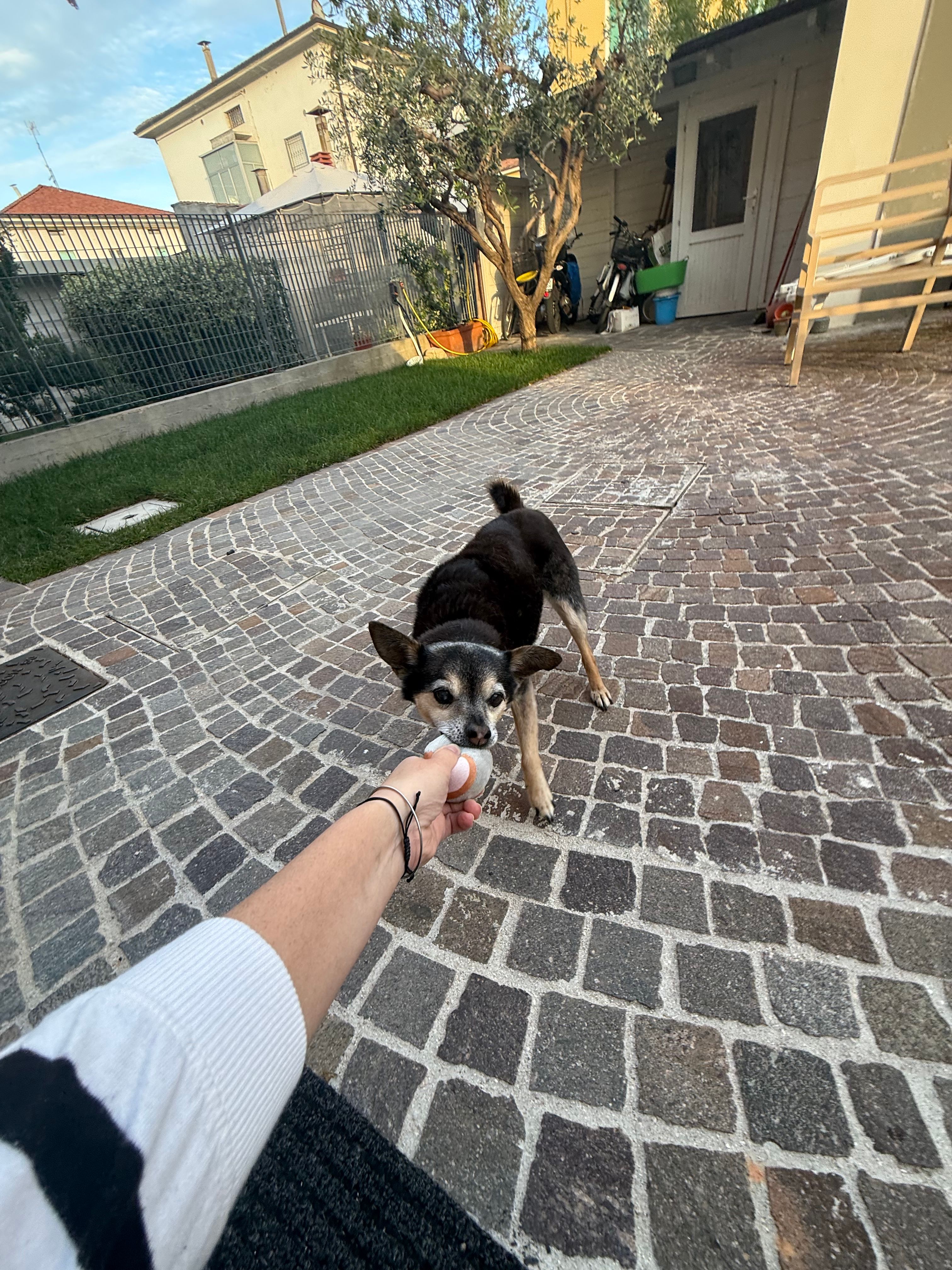 image-10