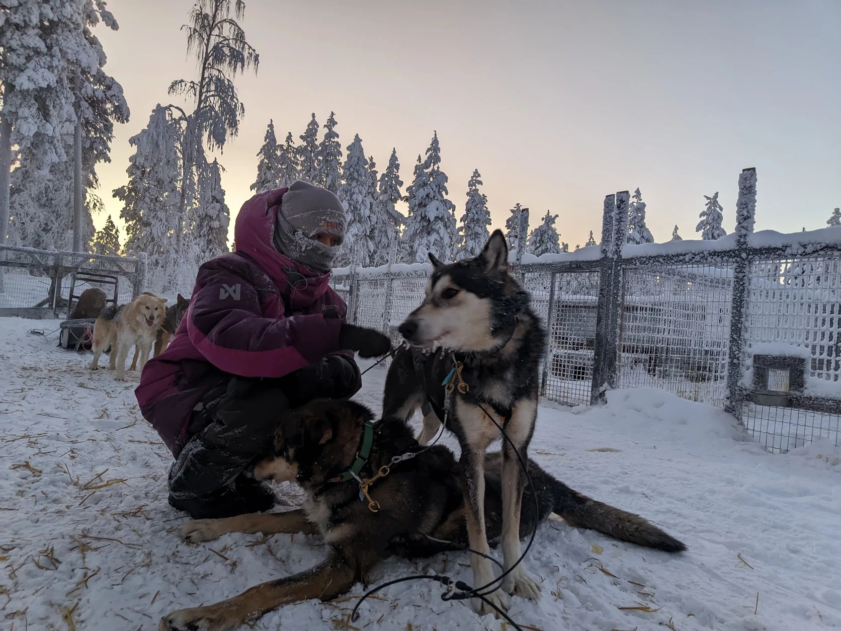 image-4