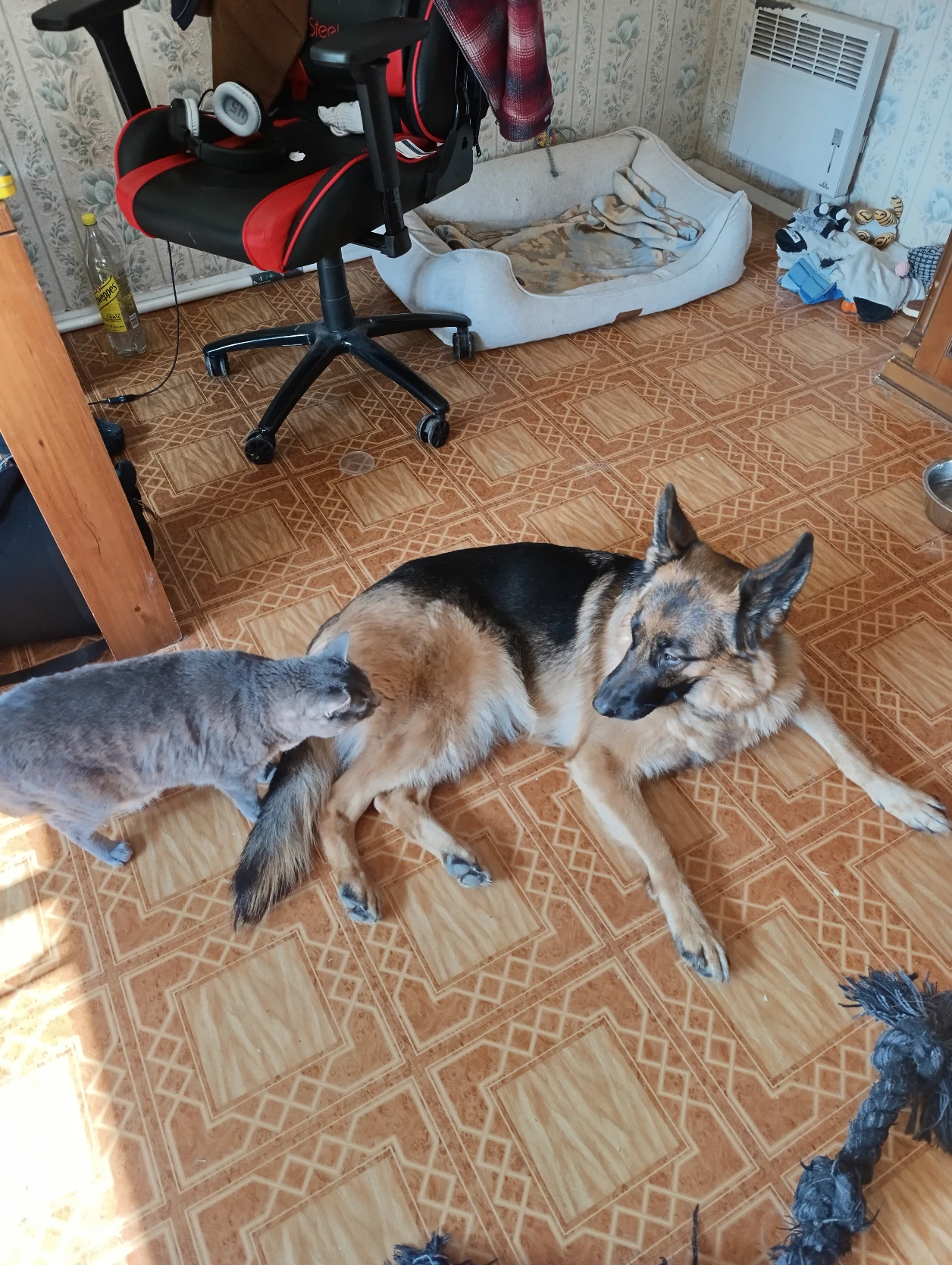 image-24