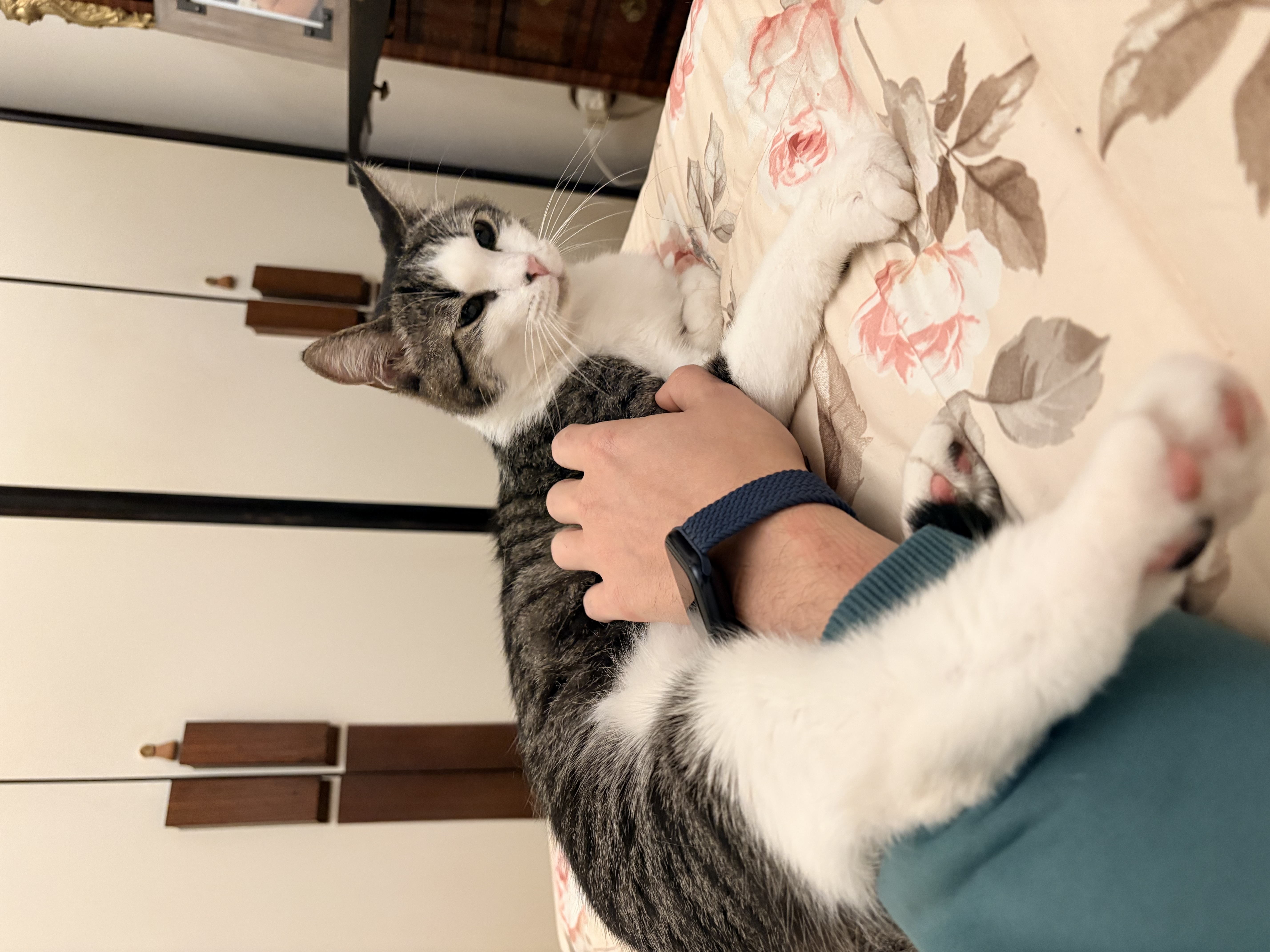 image-5